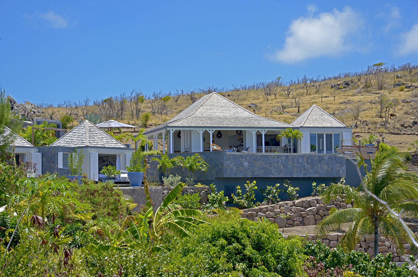 LAGON BLEU HOUSE NET©LEROI.jpg