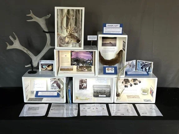 Community / Conservation Outreach Project: Mobile Caribou Museum2022-Present