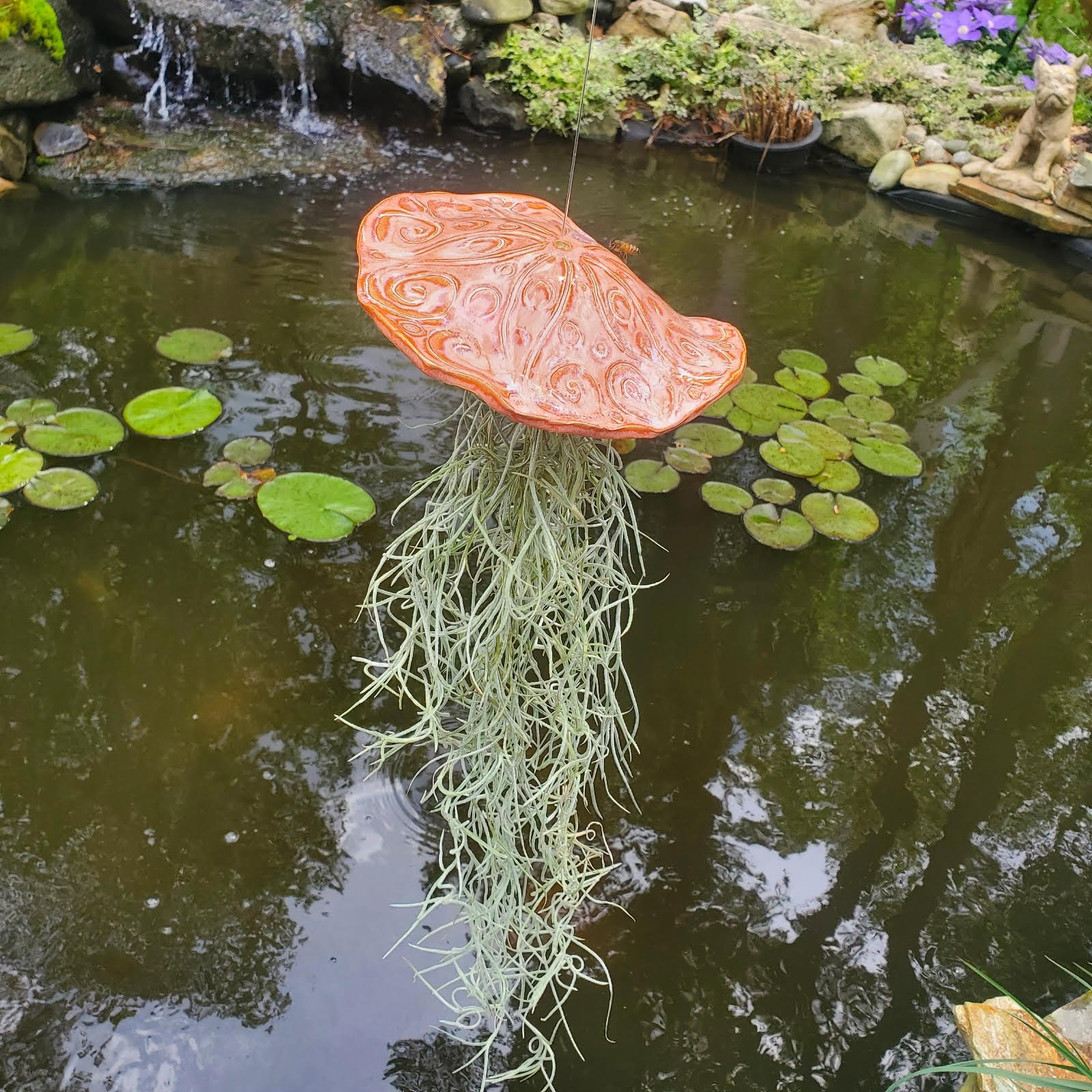 OTG lg jellyfish papaya.jpg