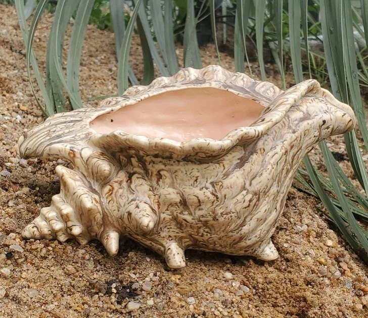 Brown Shell Planter