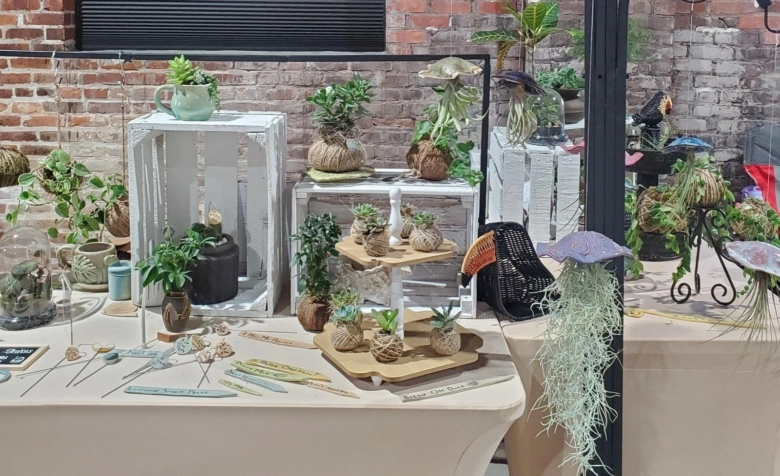 OTG Norfolk plant show Jan 26.jpg