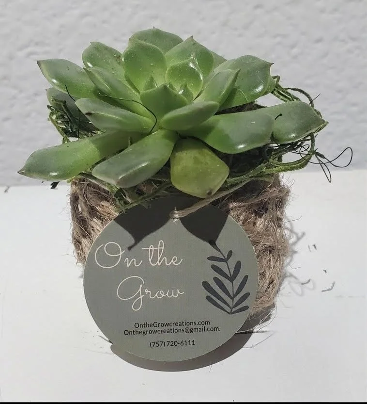 OTG sm kokadama succulent.jpg