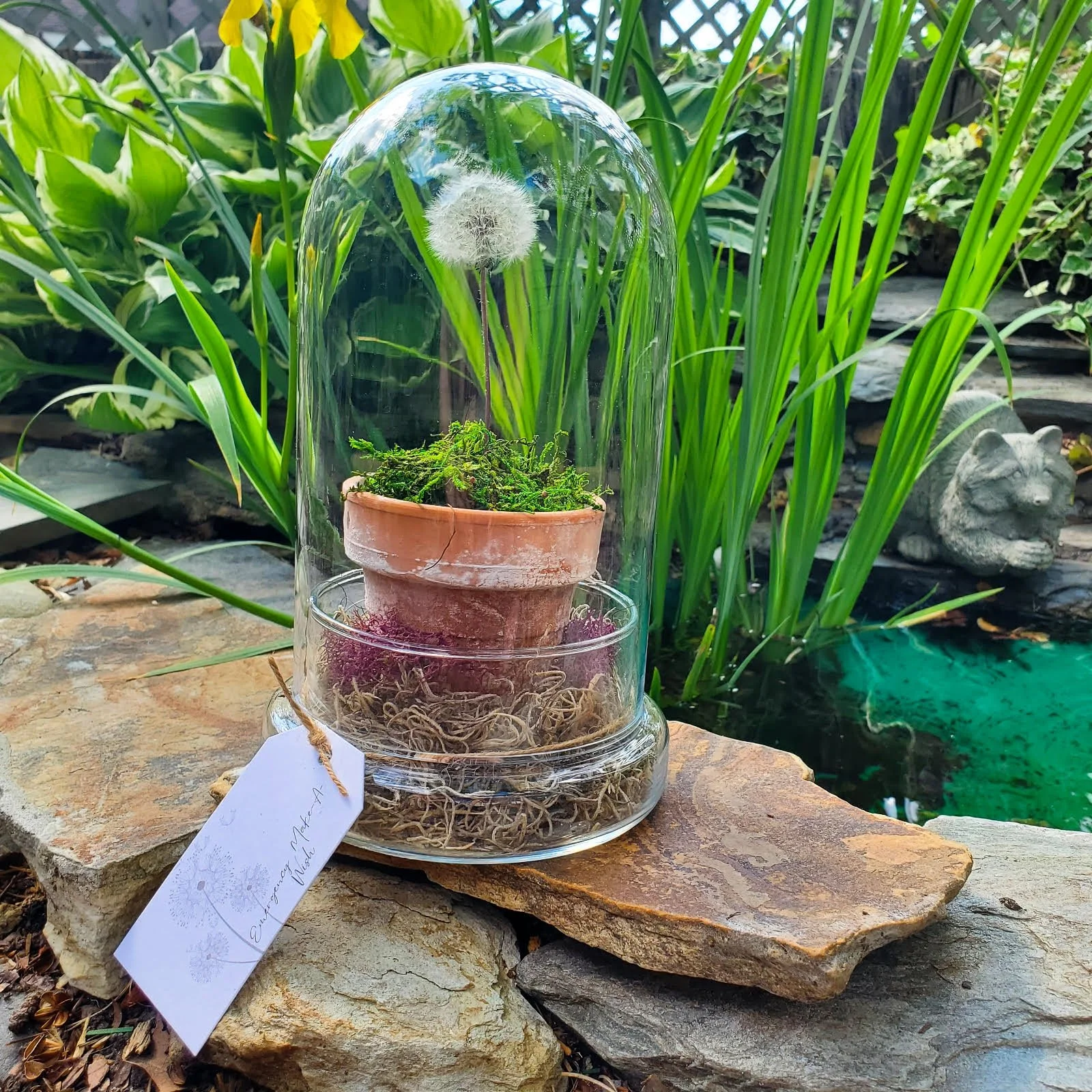 OTG dandelion glass.jpg