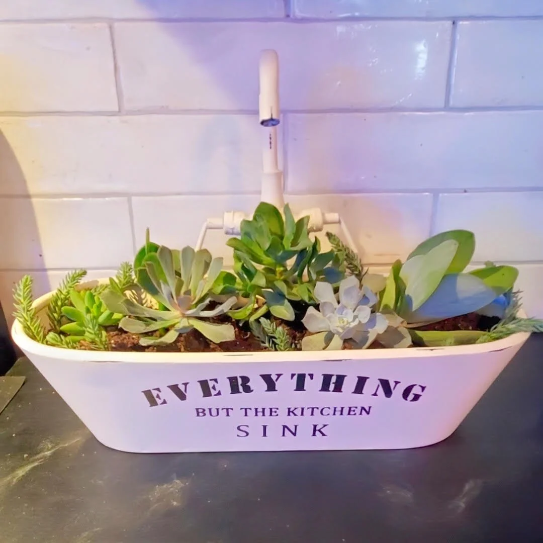 OTG Everything but sink planter.jpg
