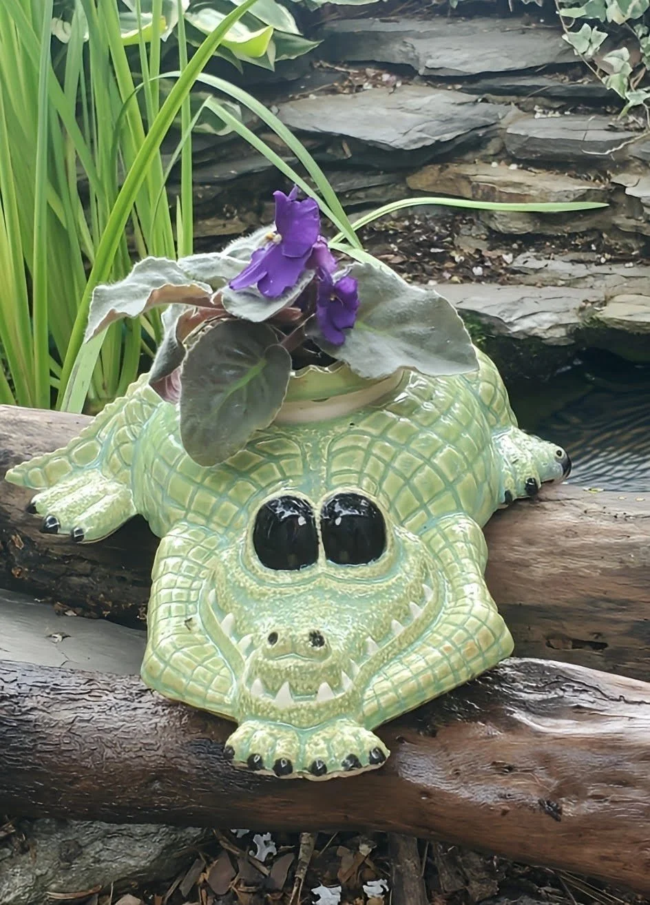 OTG croc planter.jpg
