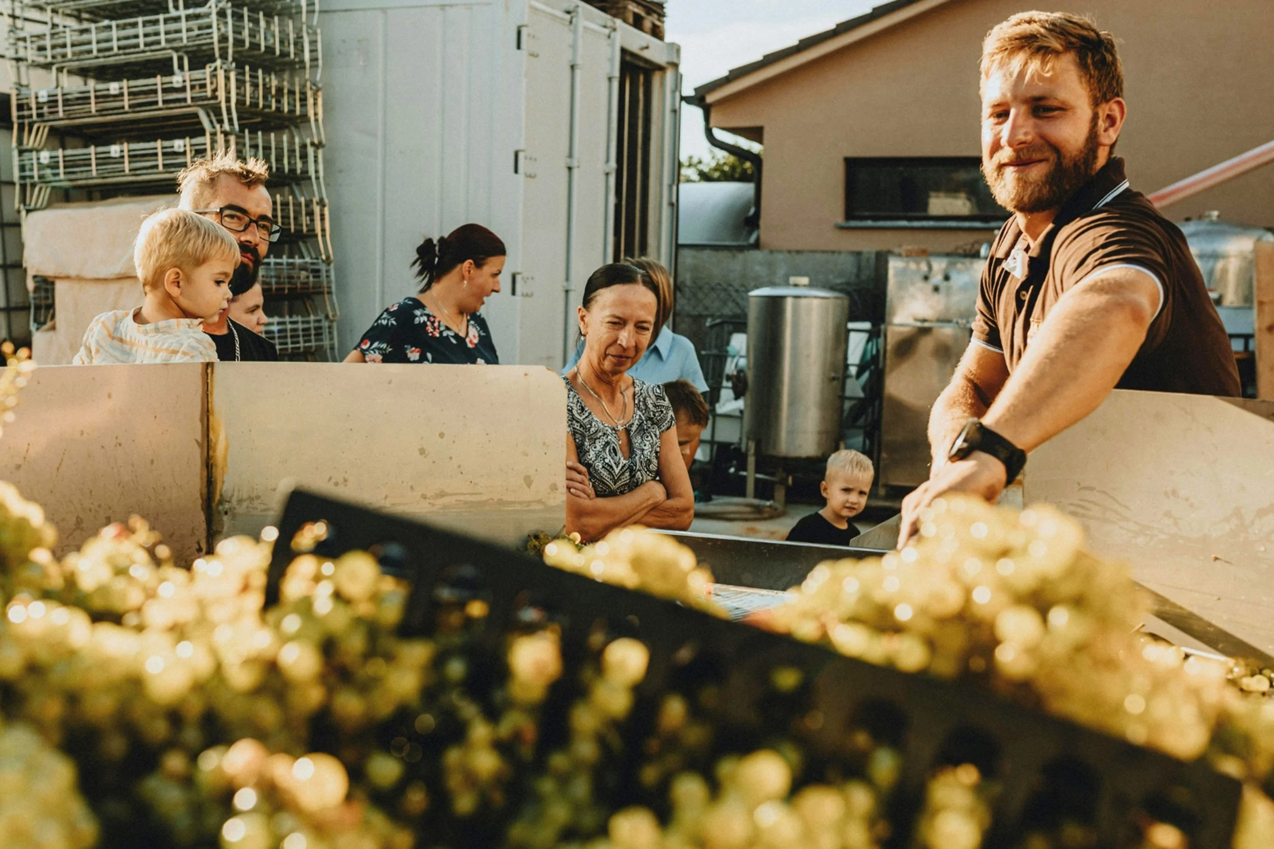 The Carbon-Positive Winery: moving beyond neutrality