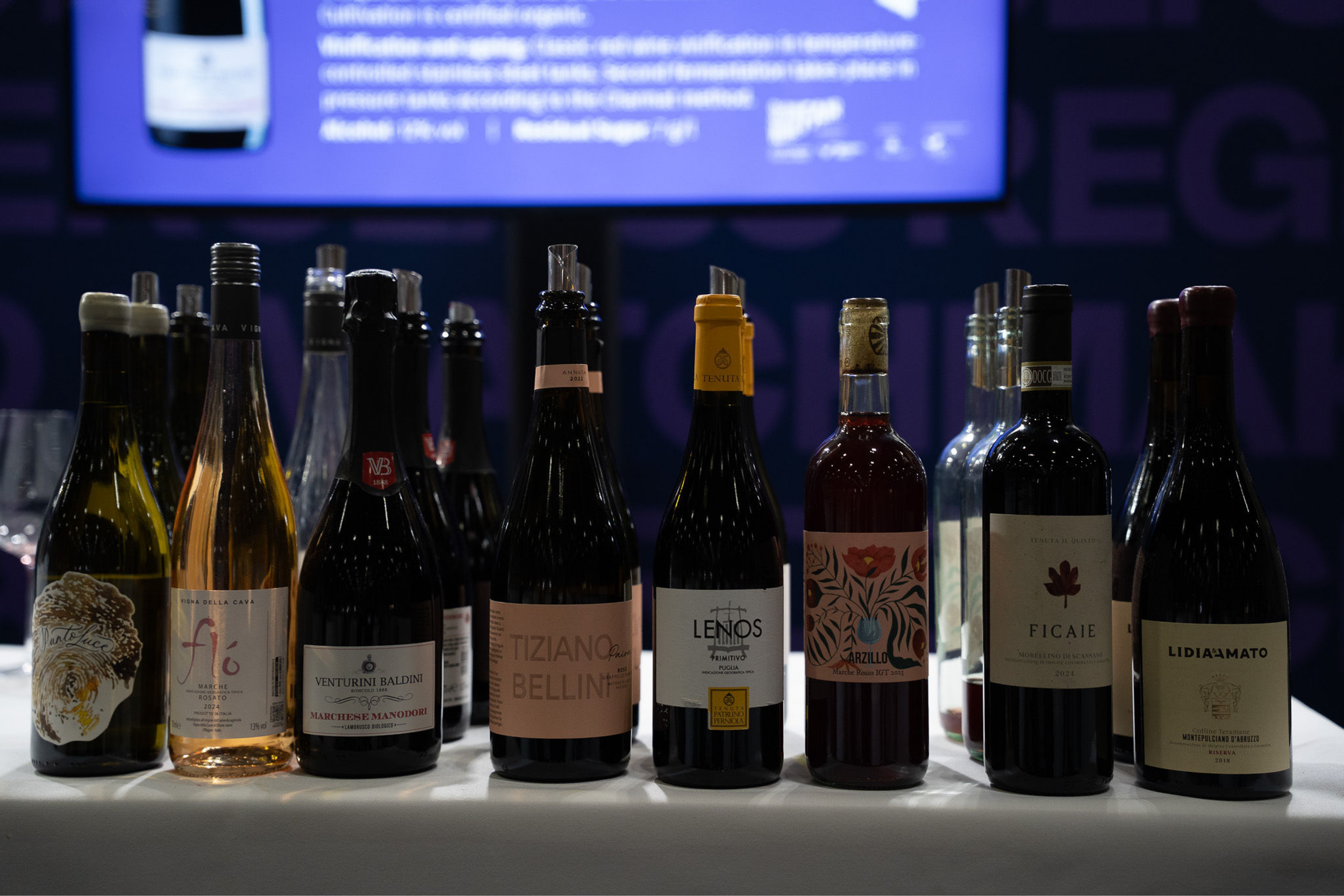 Calabria Next: indigenous grapes, new energy and the future of Southern Italian wine&nbsp;