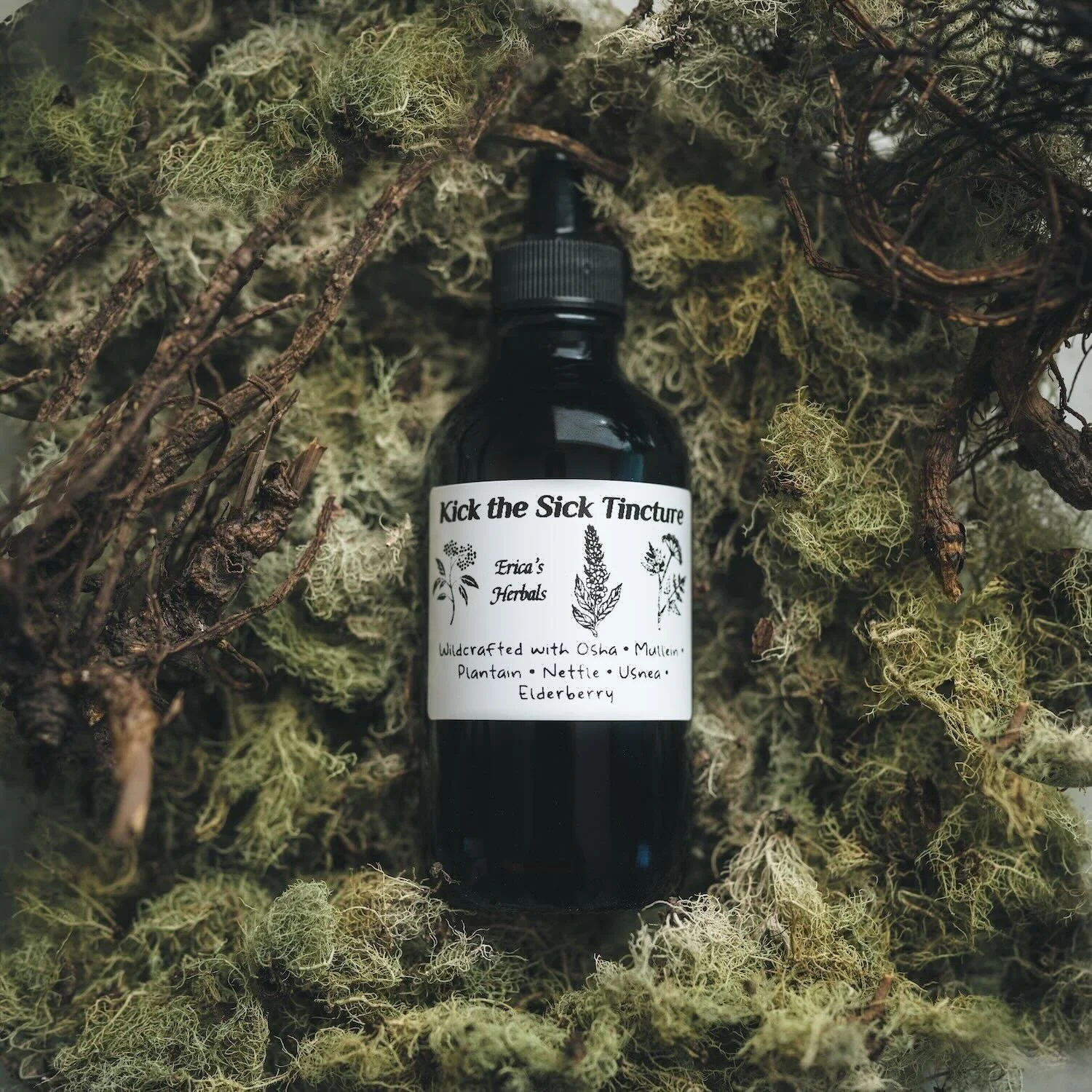 Kick the Sick Tincture