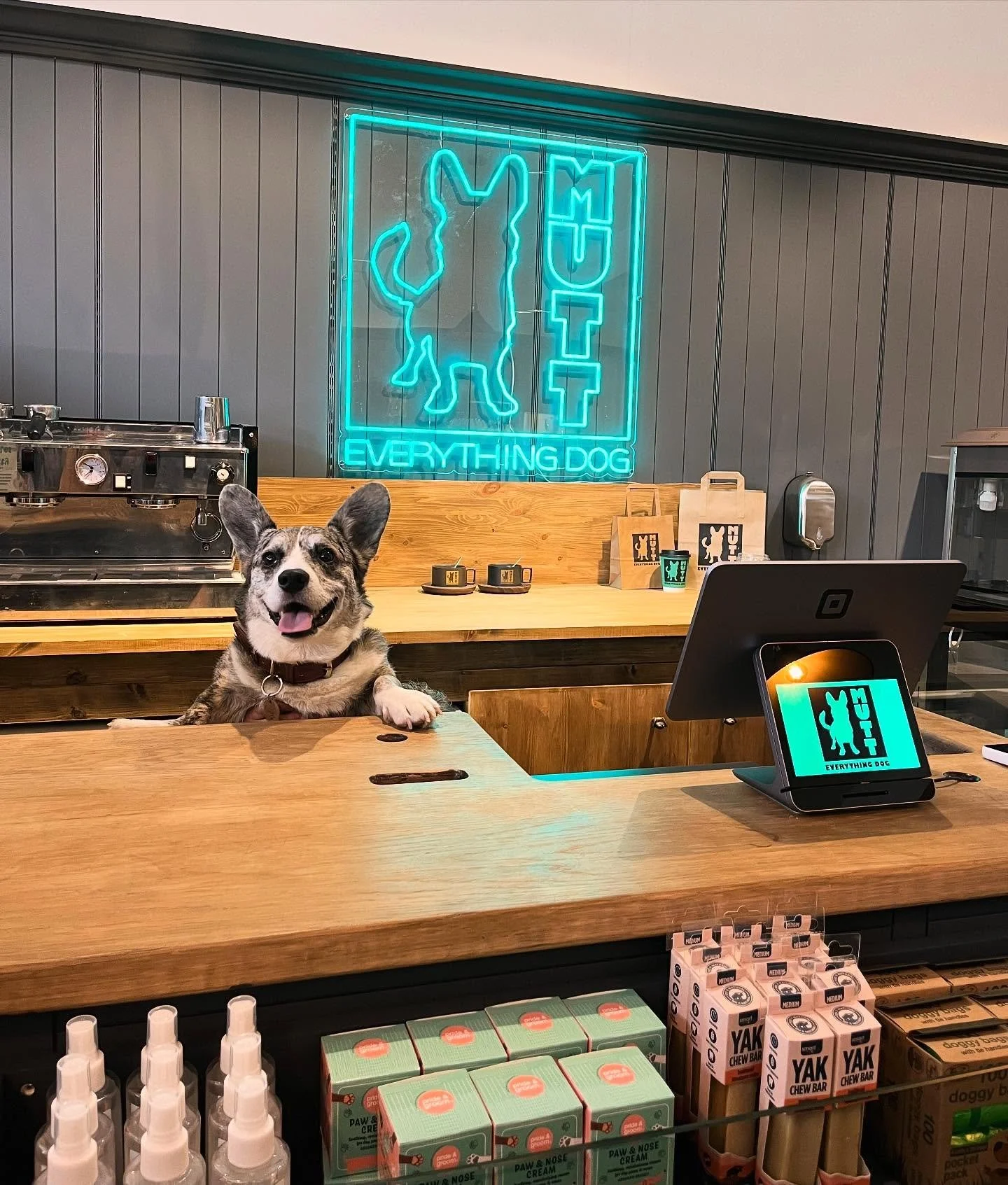 Dorchester’s Dog-Focused Hangout!