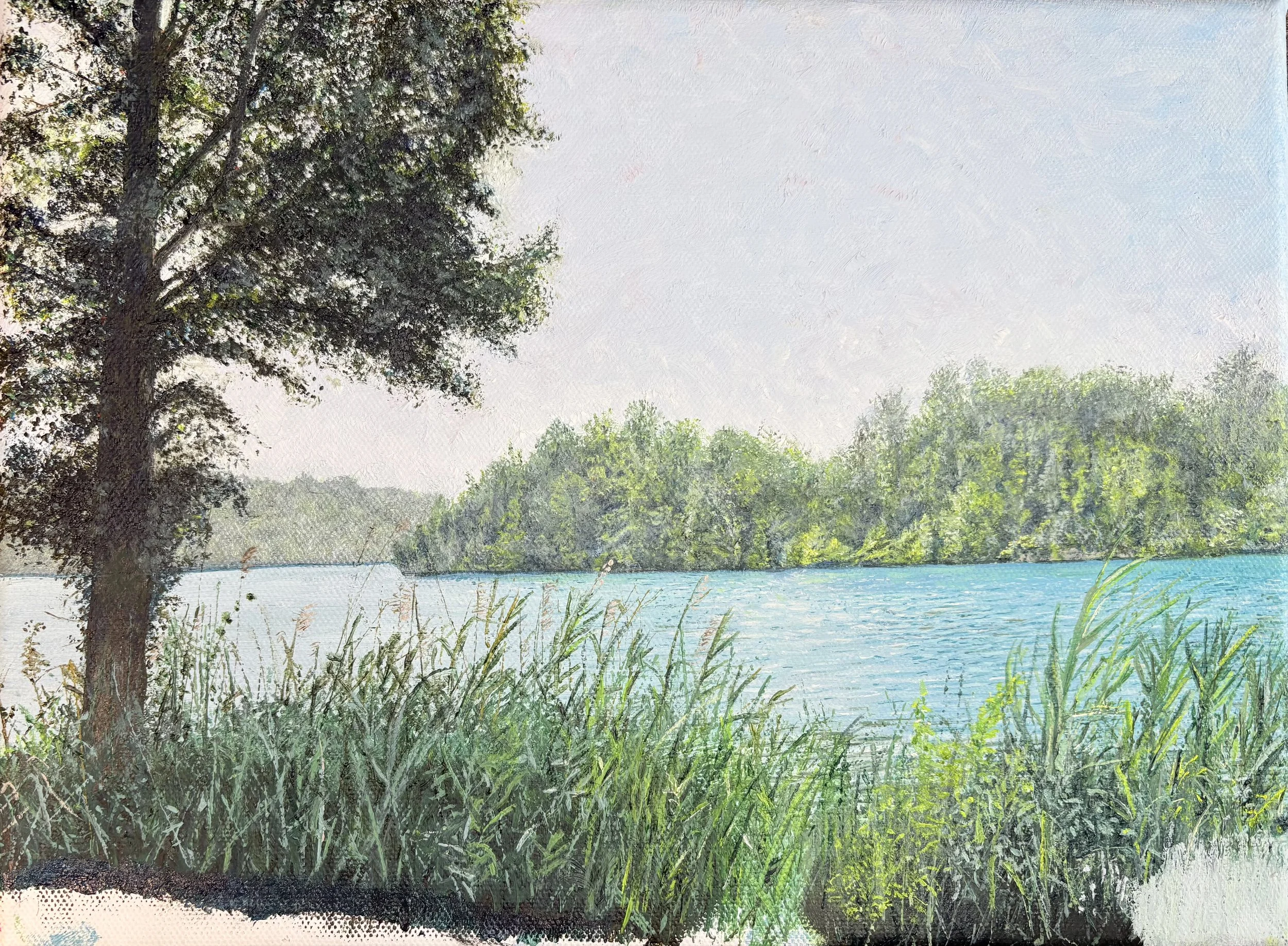impressionistic oil on canvas, green lakes state park, Syracuse, NY