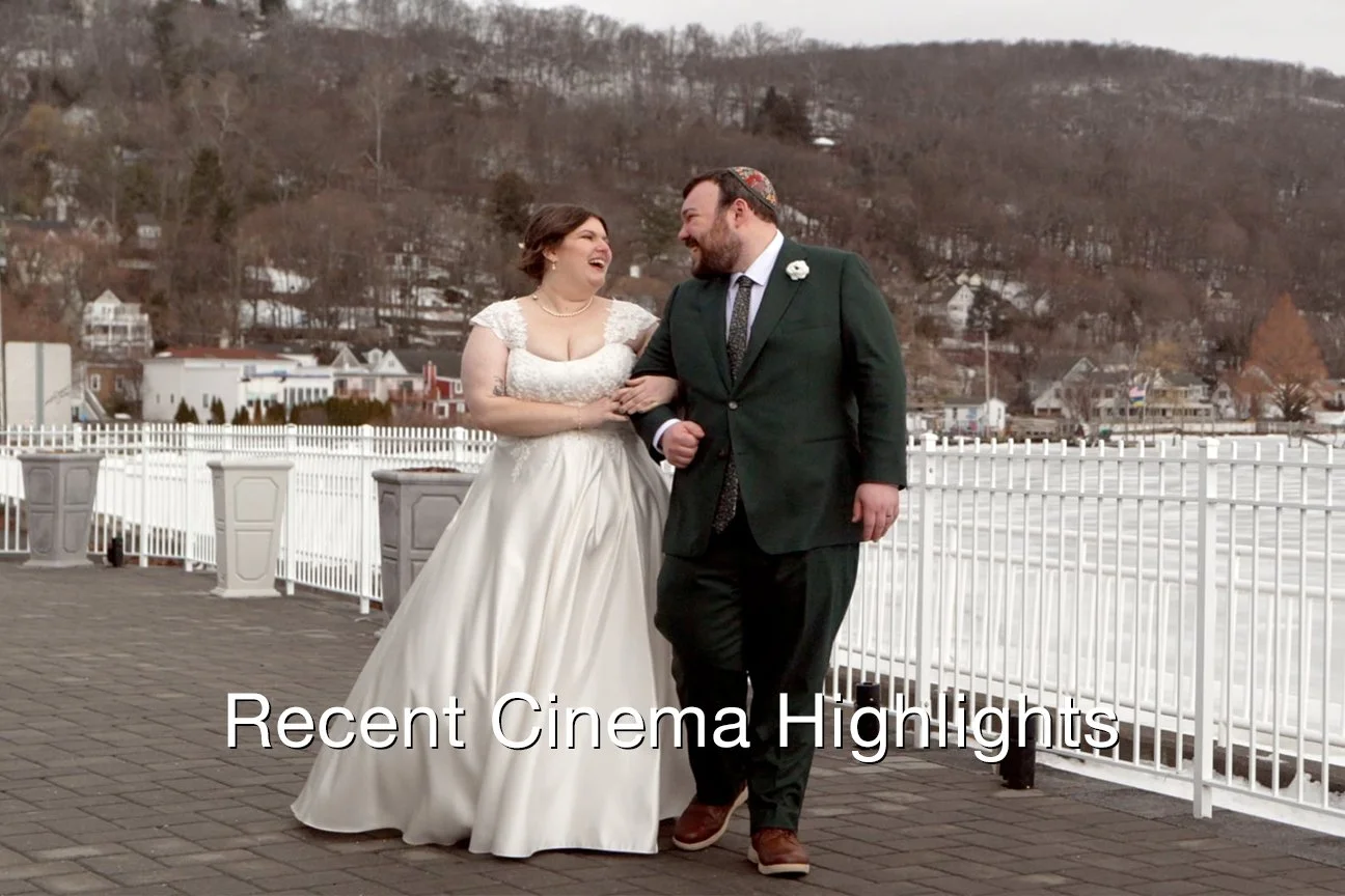 Recent Cinema Highlights Text.jpg