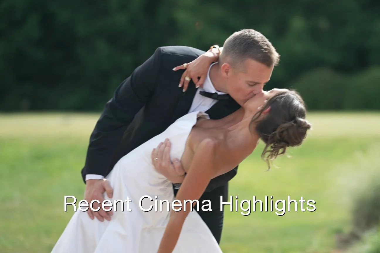 Recent Cinema Highlights Text.jpg