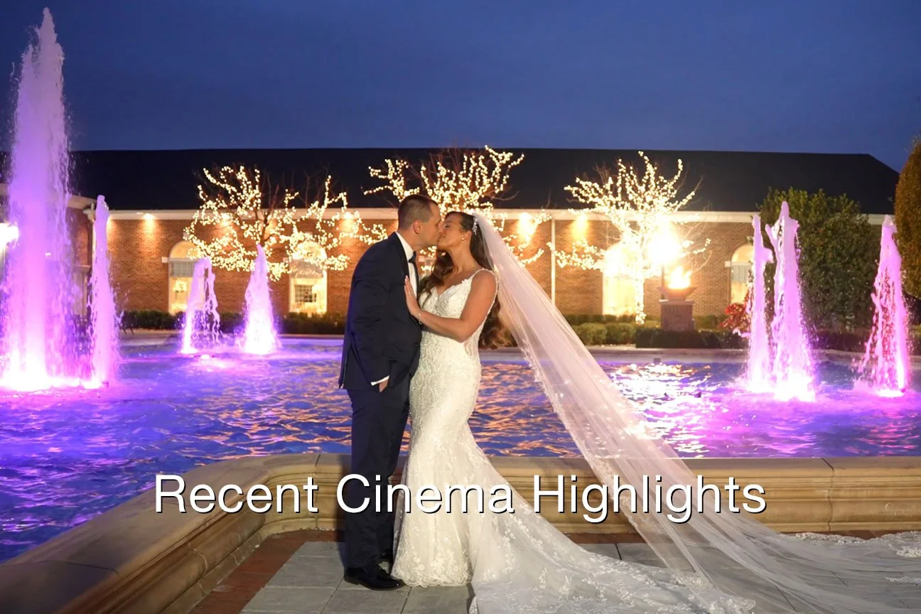 Recent Cinema Highlights Text.jpg