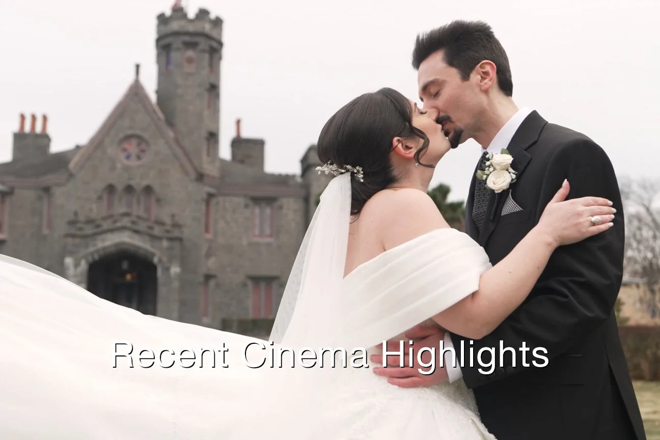 Recent Cinema Highlights Text.jpg
