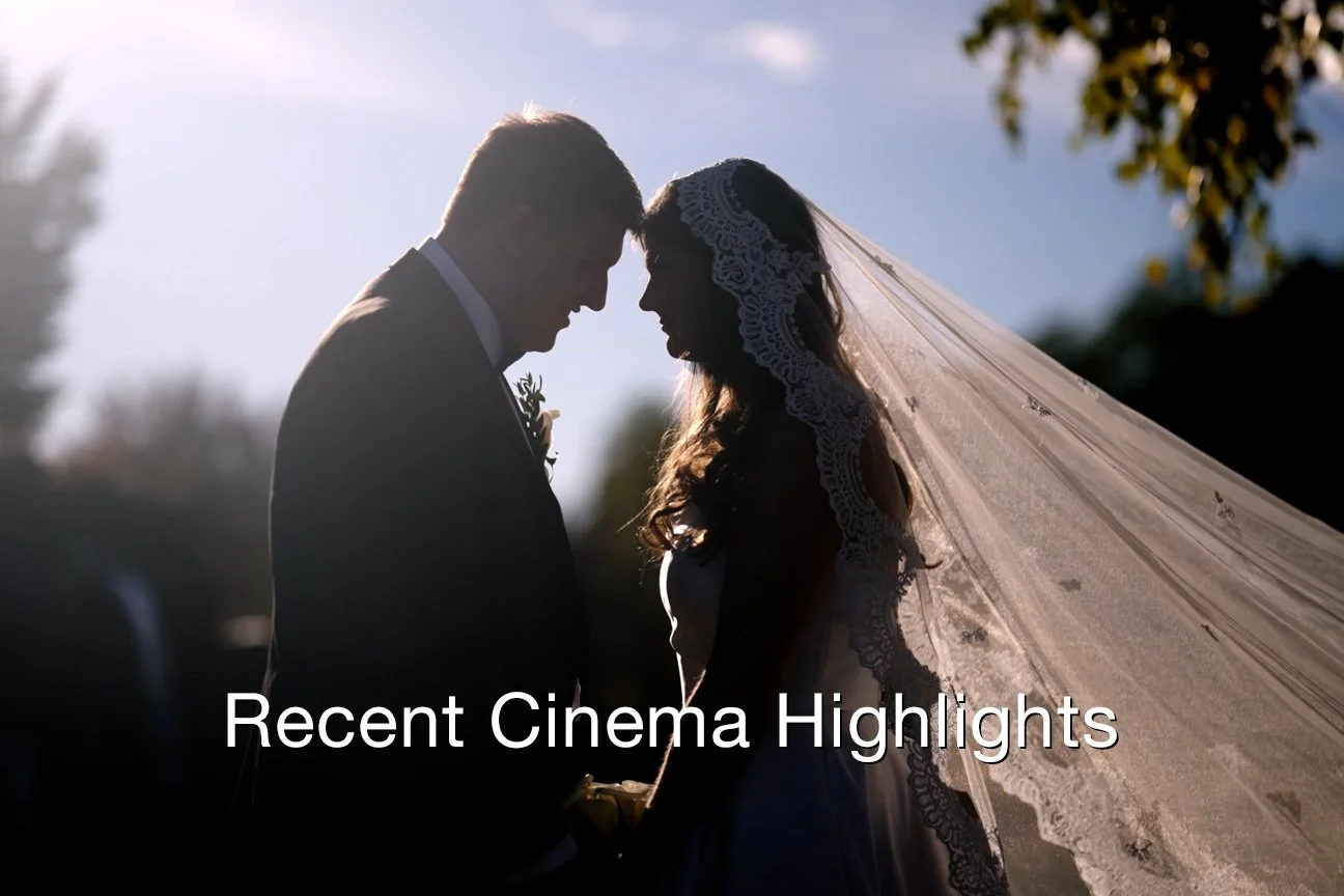 Recent Cinema Highlights Text copy.jpg