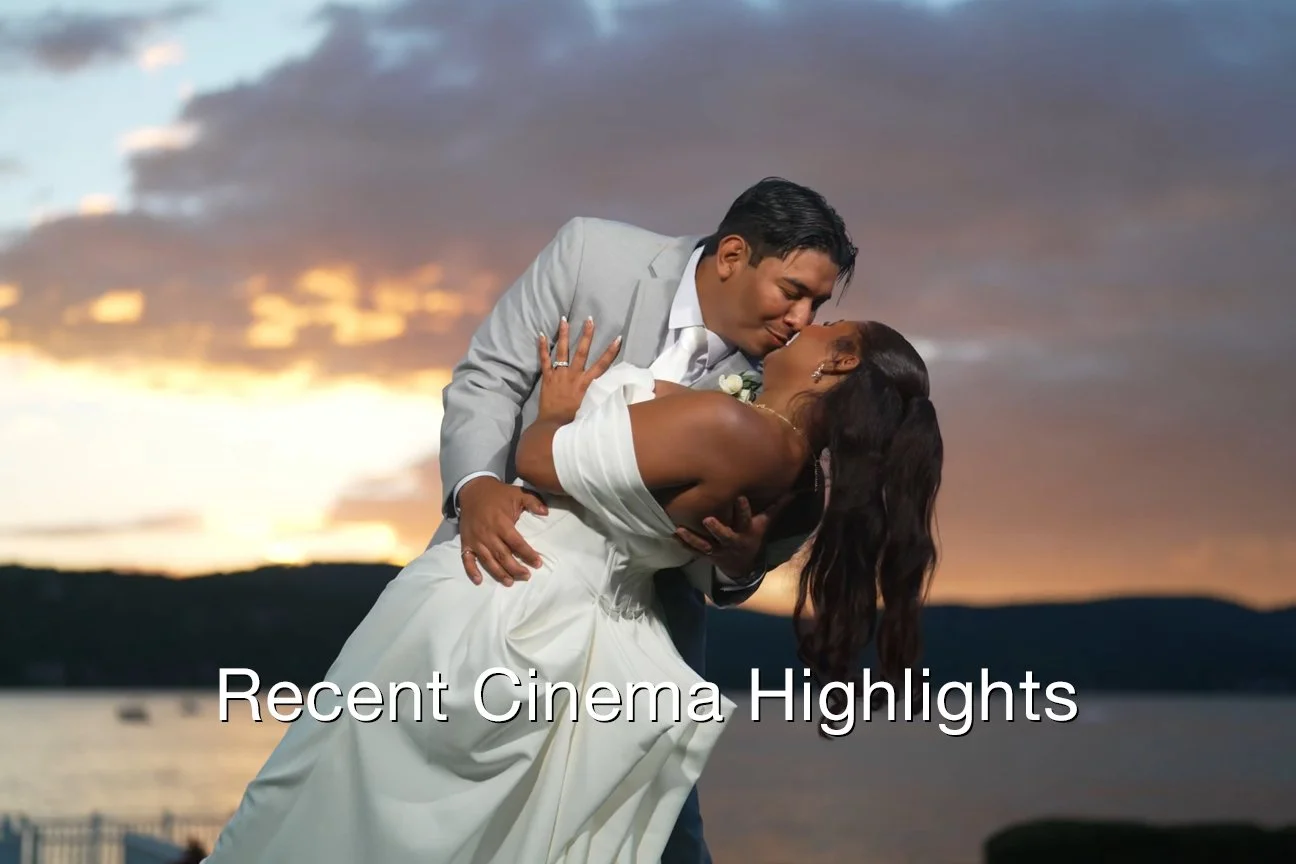 Recent Cinema Highlights Text.jpg