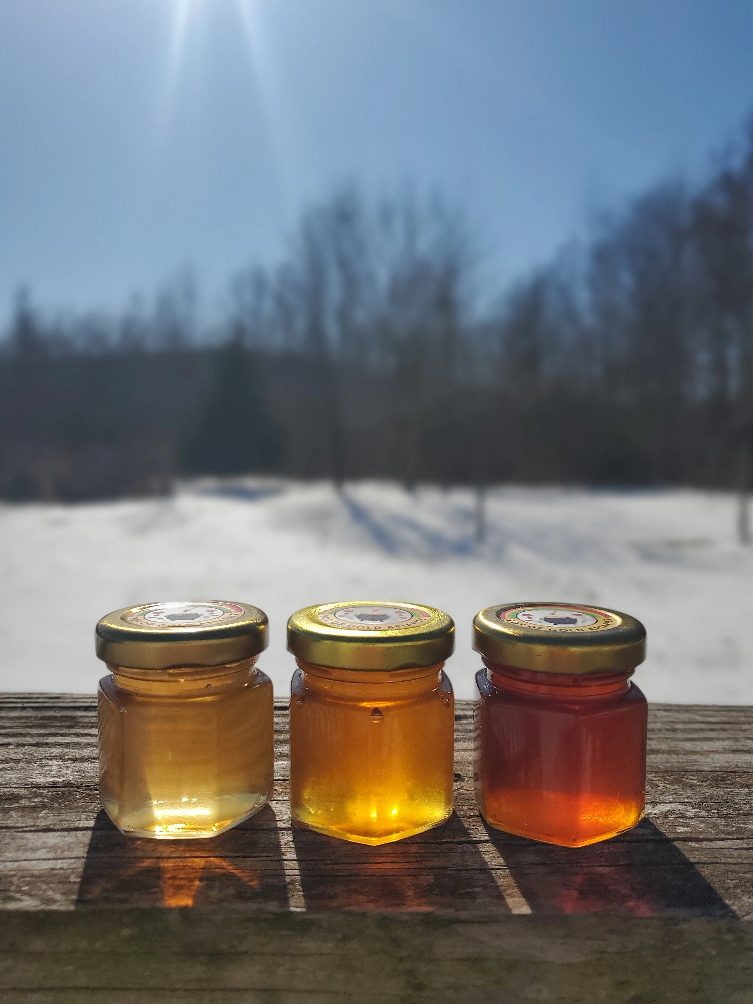 1.5oz Honey Jars
