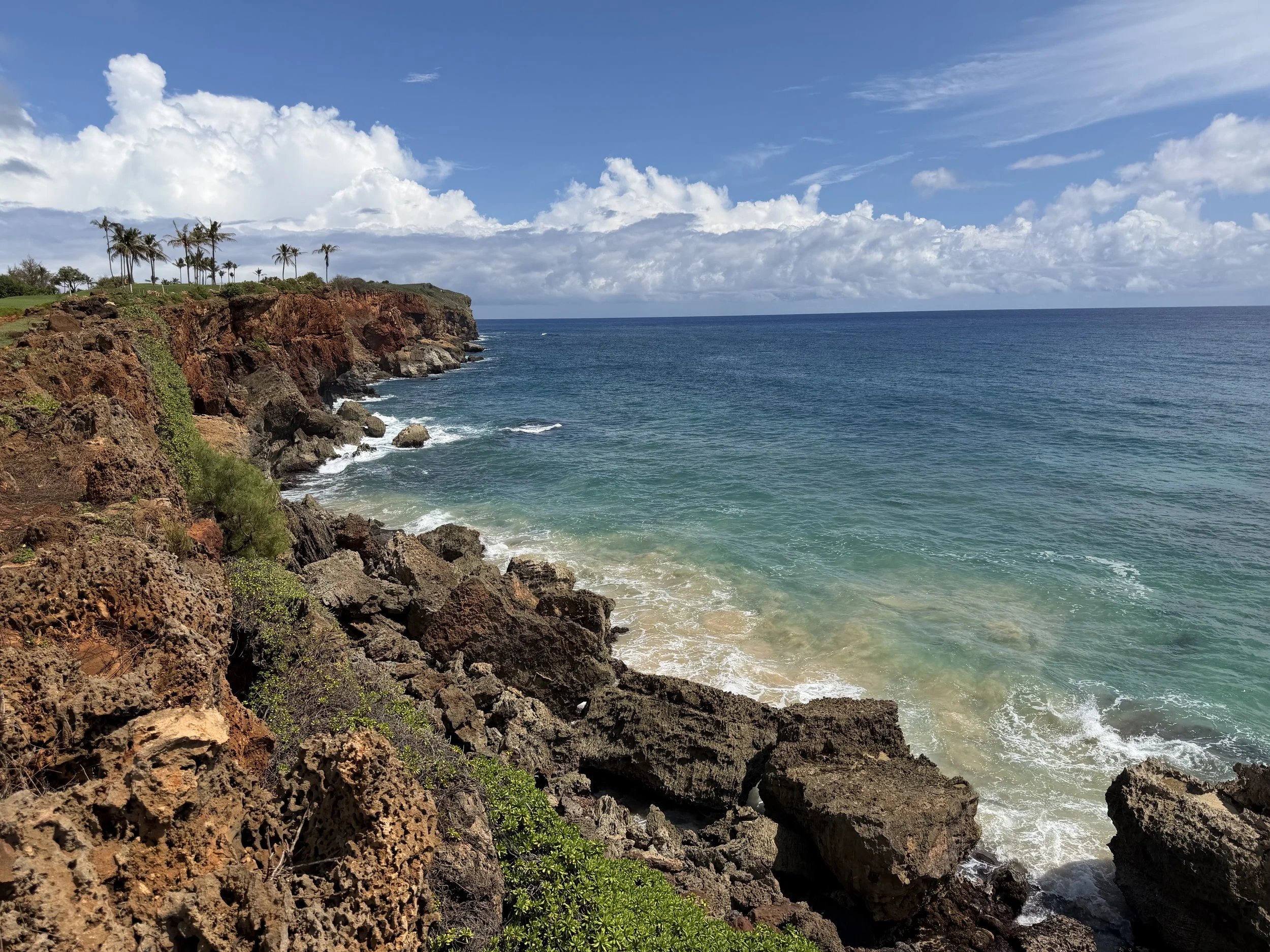 Cliffs overlooking the ocean with palm trees on top, blue sky with clouds, and rocky shoreline with waves.