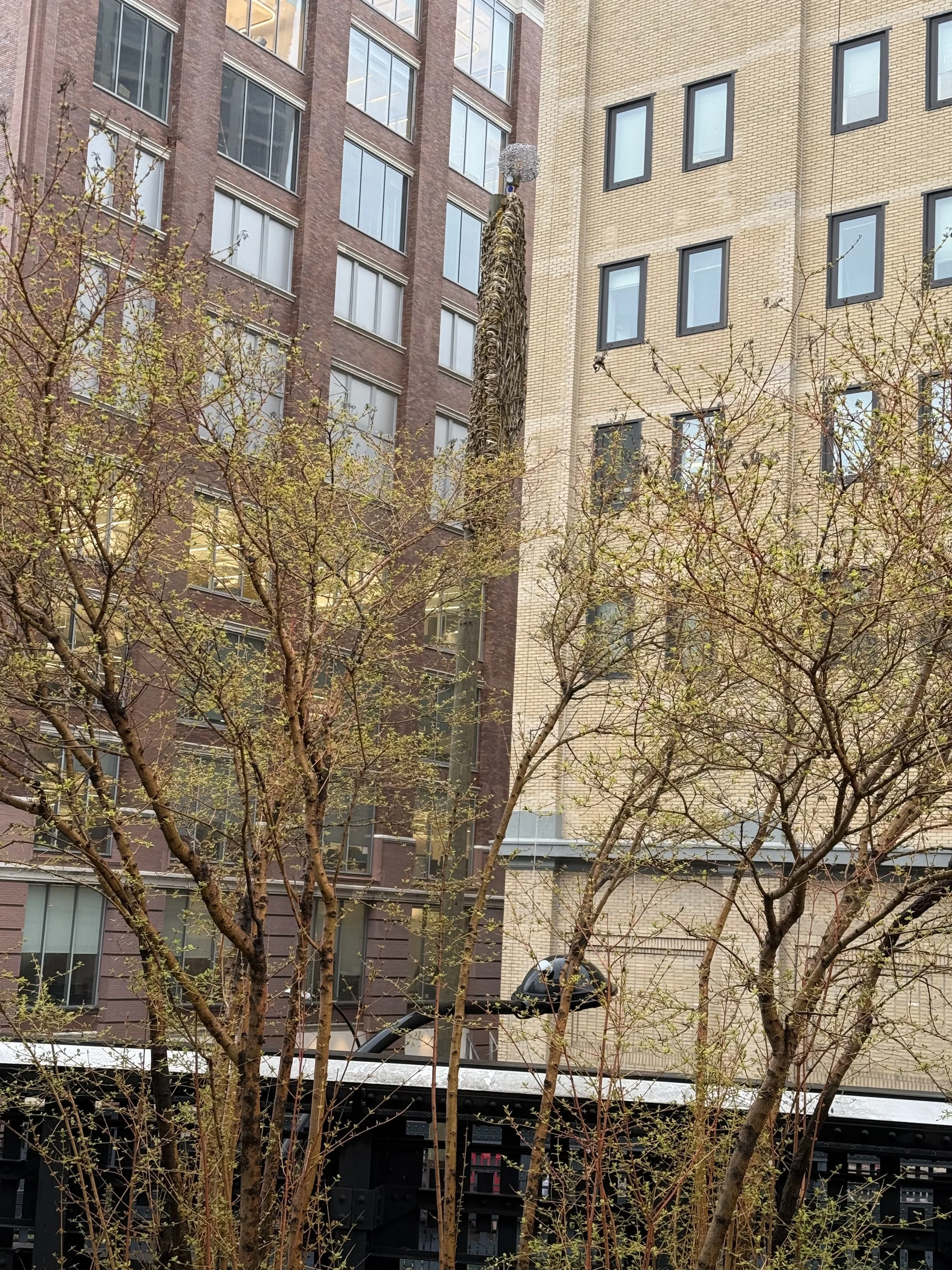 NYC.6.jpg