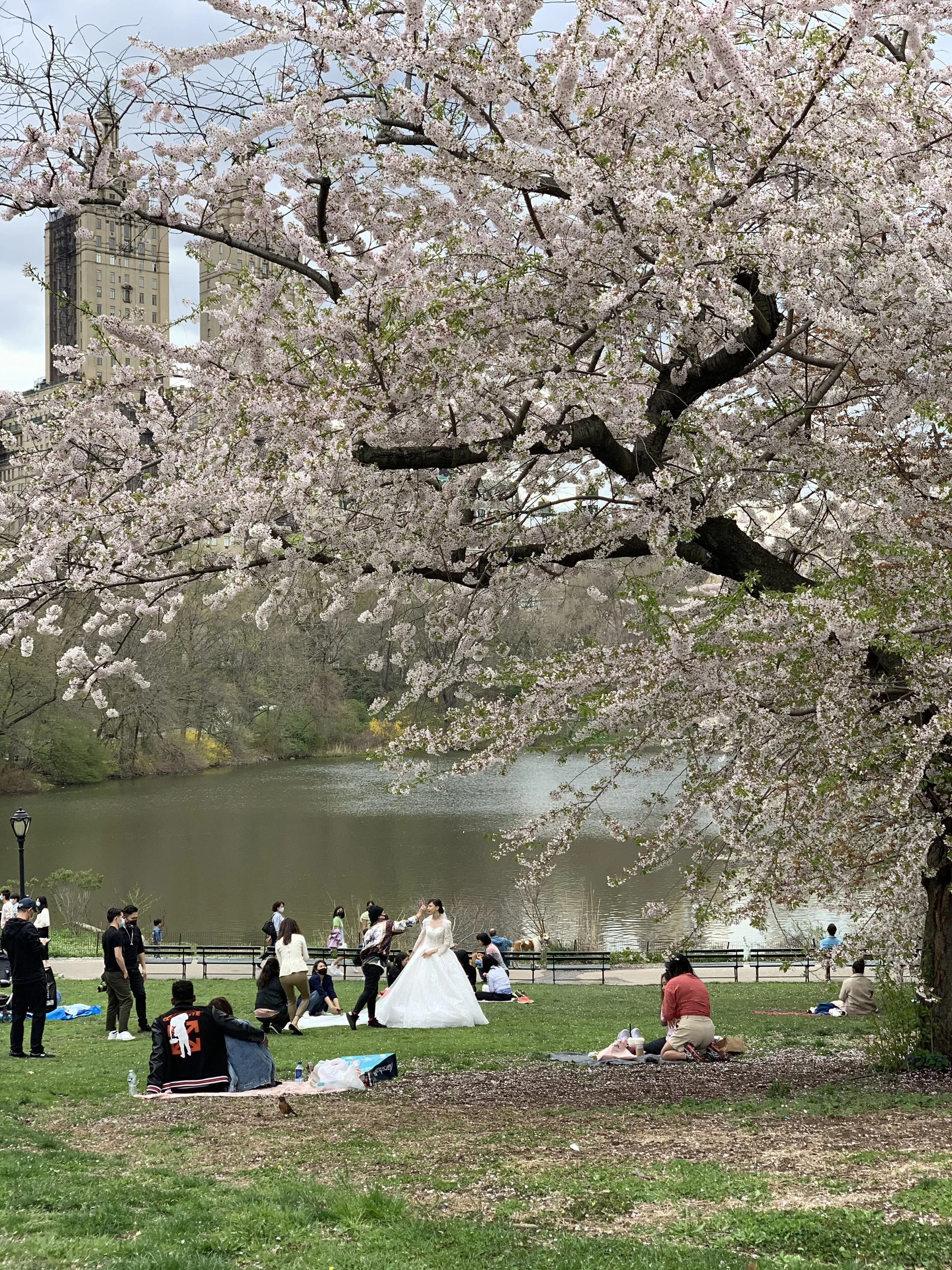 NYC.15.jpg