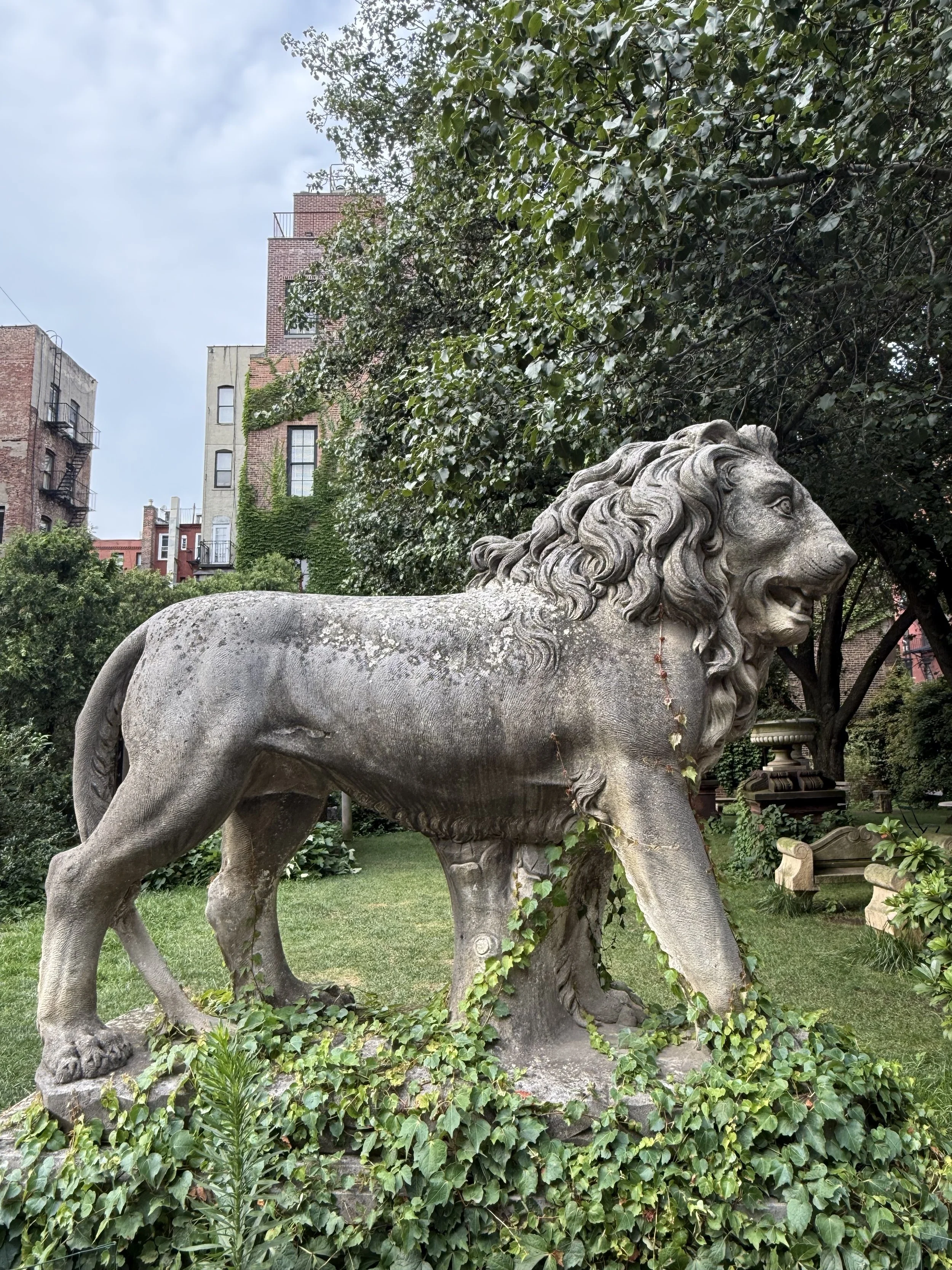 One House, Two Lions