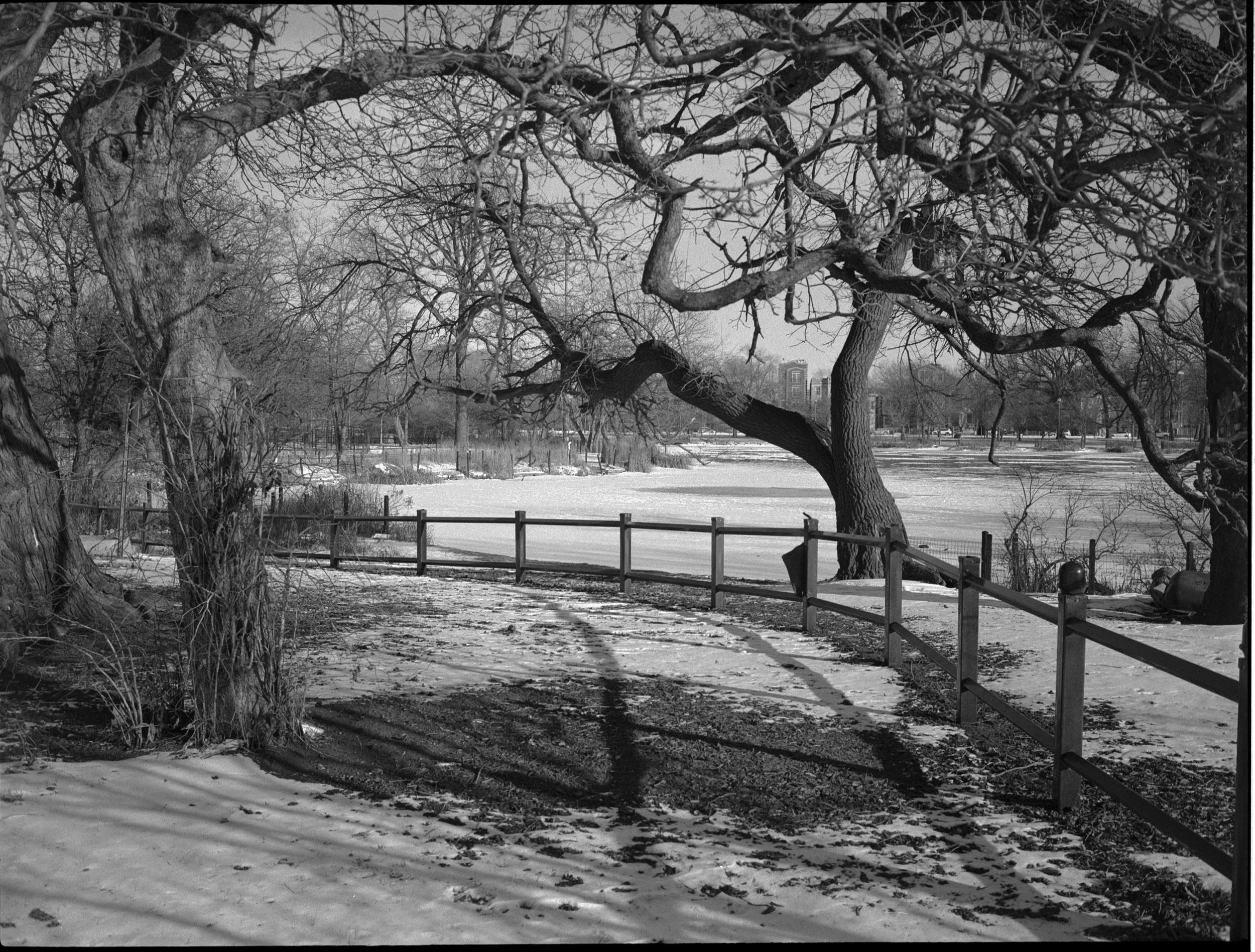 A black and white photo of a winter landscape with bare trees, snow on the ground, and a partially frozen body of water in the background. A wooden fence runs along the path, and there are some buildings visible in the distance.