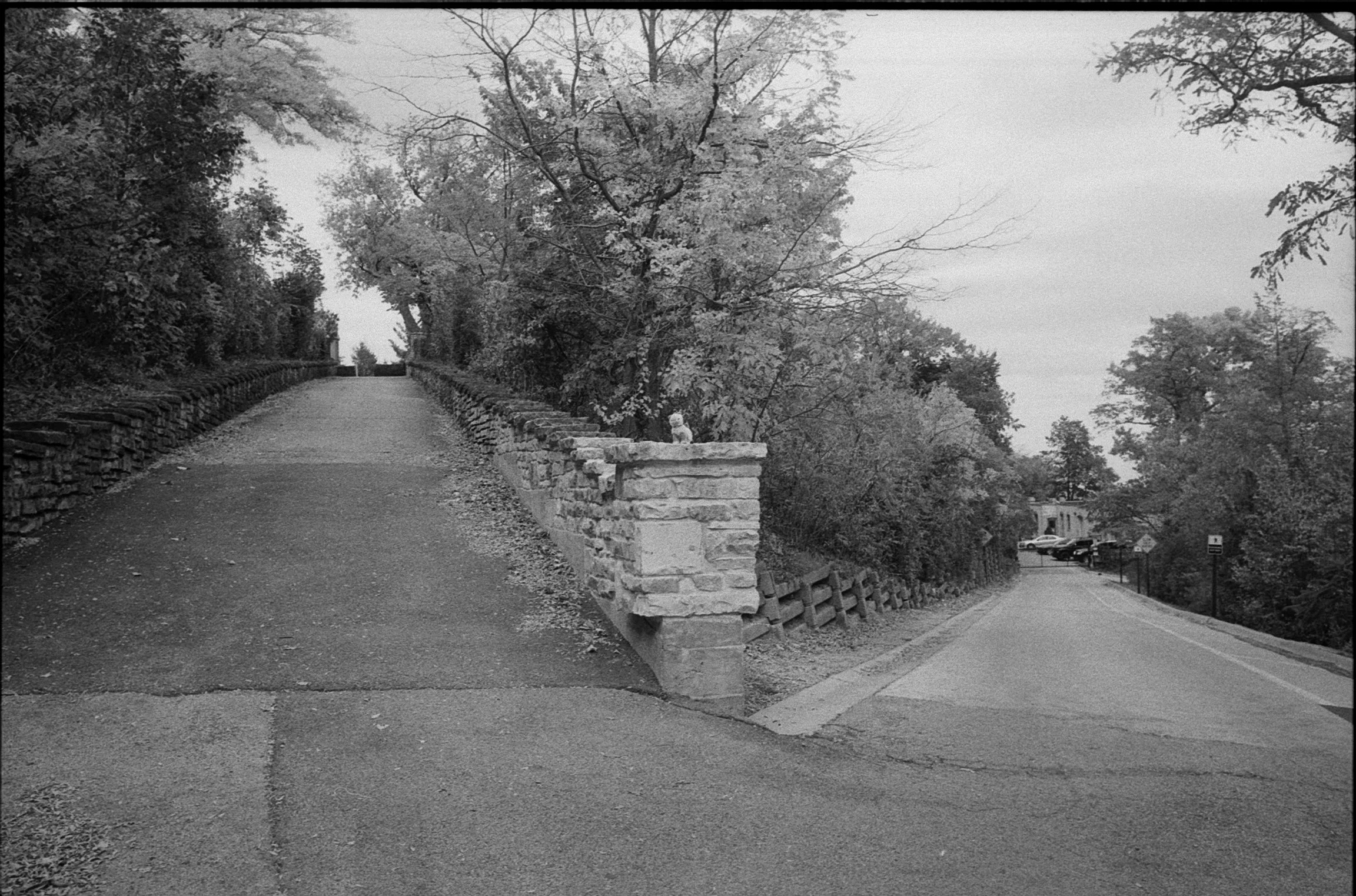 A black and white photograph of a split road surrounded by trees with foliage and a stone retaining wall on the left side of the left road, and a small parking area with parked cars and buildings in the background on the right side.