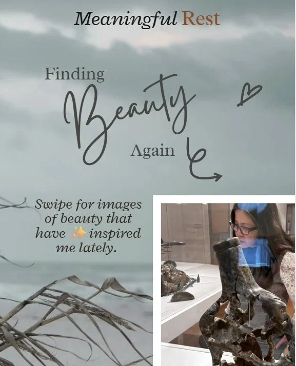 Finding Beauty Again

Earlier this year, I wrote about seeking out places to find beauty when things get ugly. 

I love going to art museums because I usually find beauty there. 

But there are times when beauty surprises me by showing up in unexpect