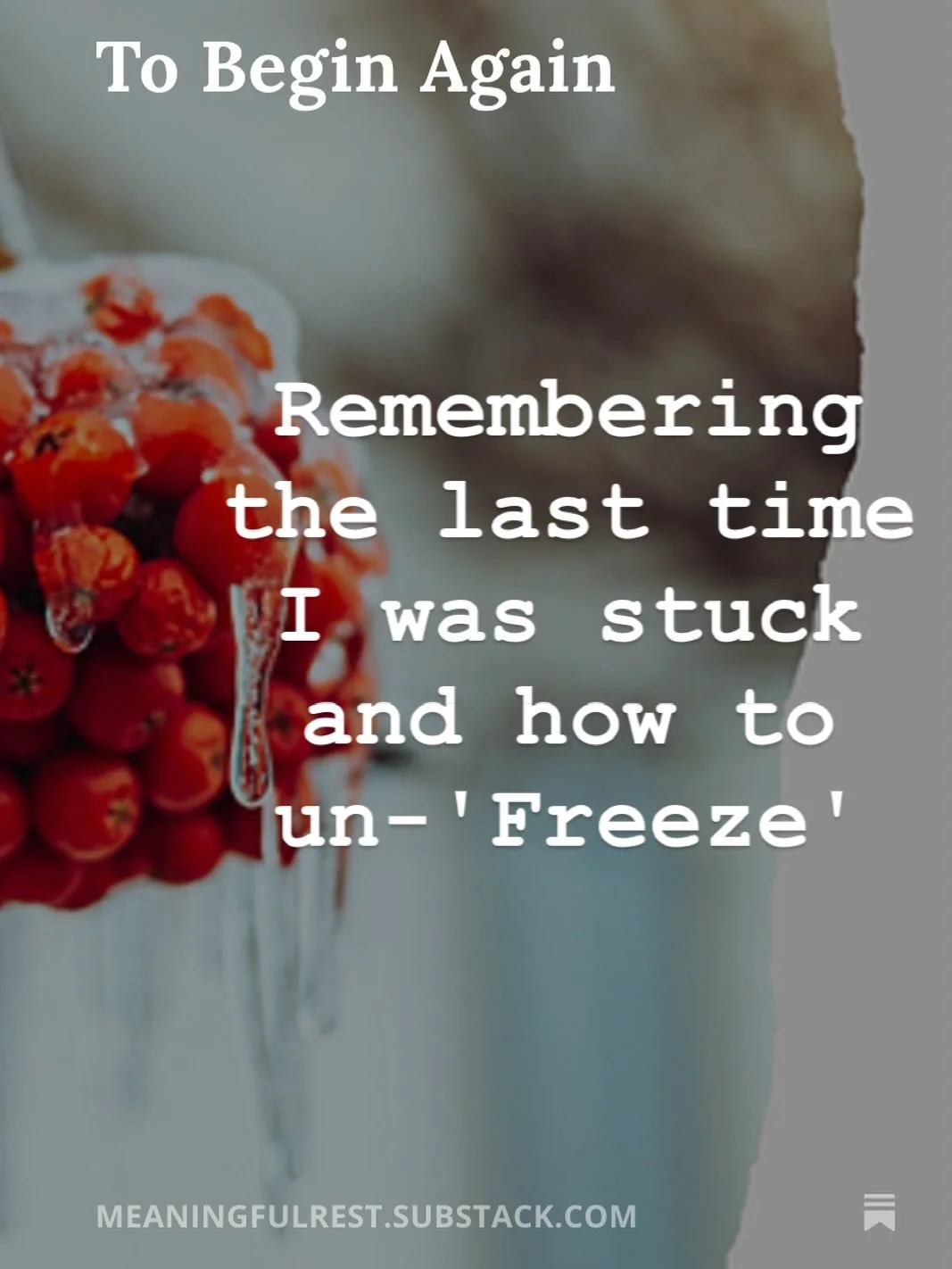 New post: To Begin Again
Remembering the last time I was stuck and how to un-Freeze. 

Link in bio.

#meaningfulrest #wellbeing #freeze #survivalresponses #restcoach