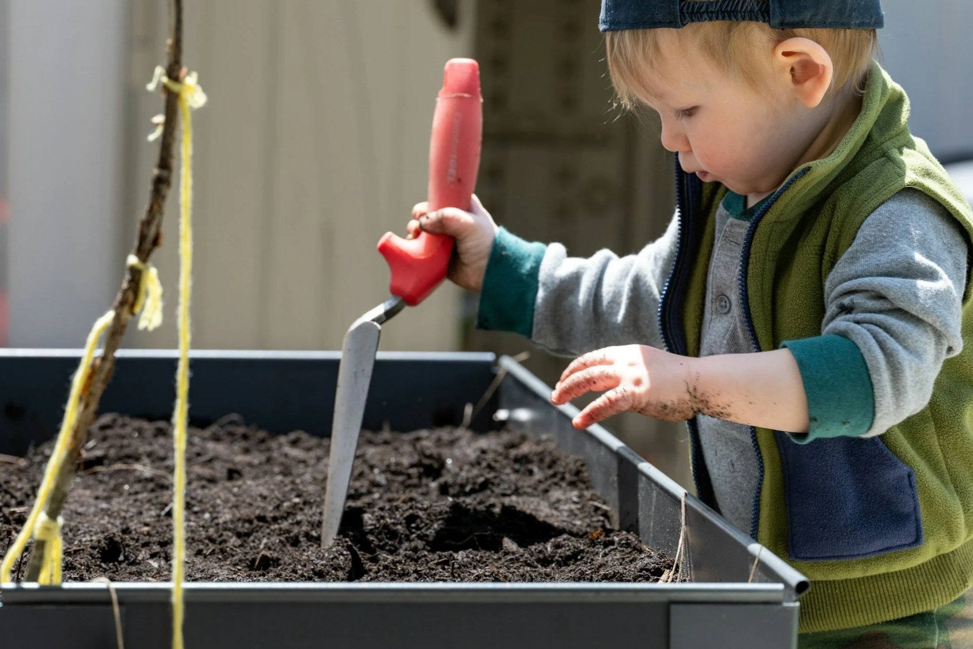 Growing Readers, Growing Trees