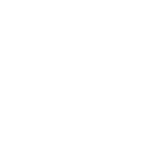 Braun logo in black and white, with a stylized 'A'.