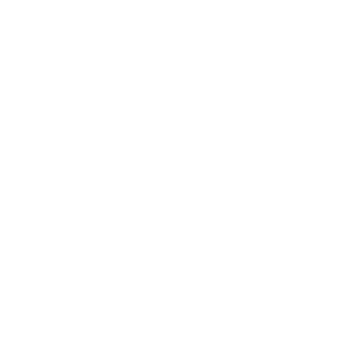 Visune logo in stylized font