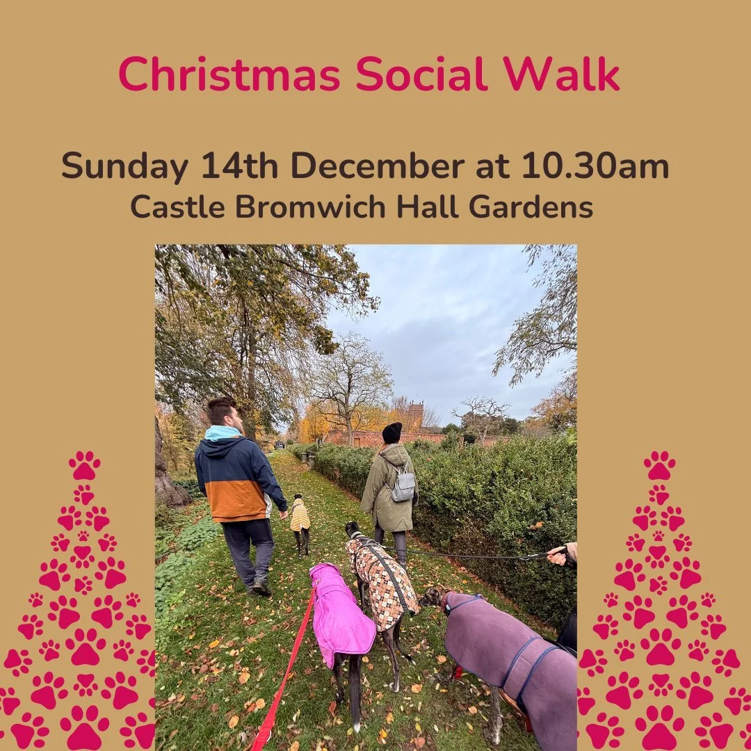 🎄 Christmas Social Walk 🎄
Our last social walk of the year is on Sunday 14 December at 10.30am at Castle Bromwich Hall Gardens. 

It&rsquo;s essentially our usual relaxed social walk, although many people like to bring a touch of Christmas with the