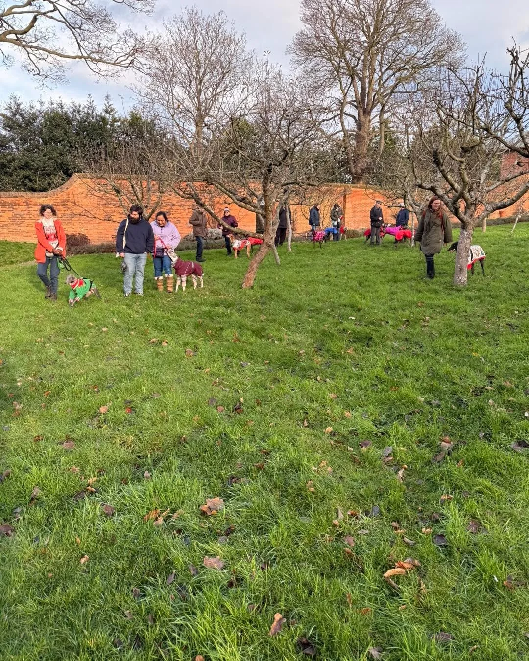 What a wonderful morning at @castlebromwichhallgardens for our social walk. Thank you so much to everyone who came along, it was lovely to see you all and your hounds. And a big thank you to the volunteers who always make us feel so welcome.

Afterwa
