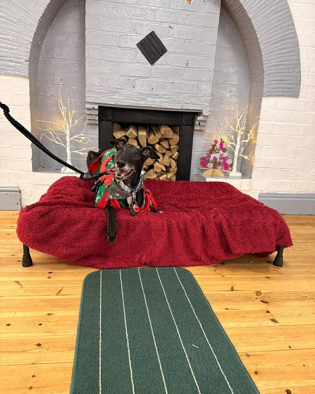 Happy Birthday Shadow 🎉

Shadow&rsquo;s confidence has without doubt grown so much over the last twelve months. The world can still feel a little overwhelming for him at times, but he is making great progress. 

He is completely adored by his little