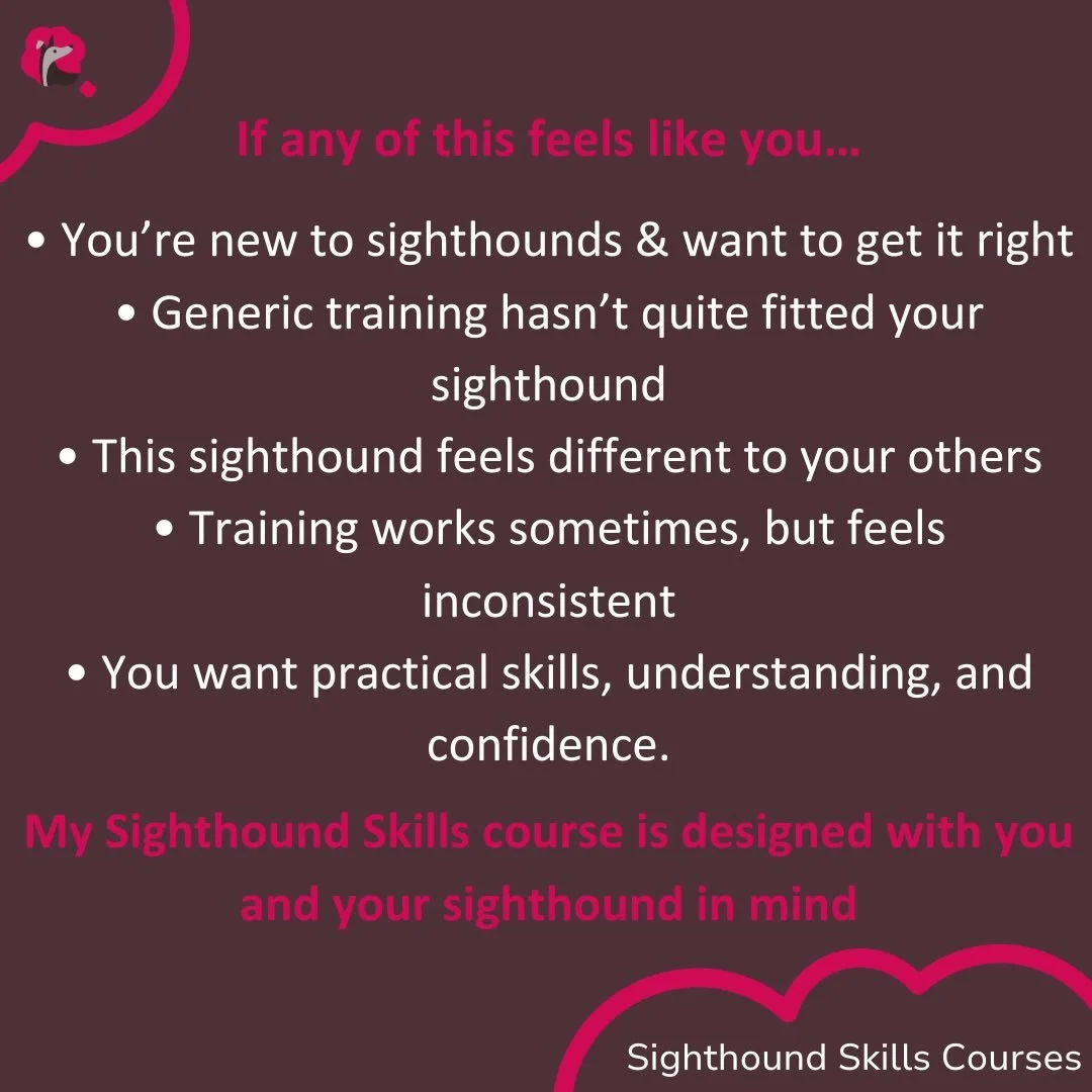 If any of this feels familiar, you&rsquo;re not on your own.
Living with a sighthound can feel different to any dog you&rsquo;ve had before.
Advice that sounds good doesn&rsquo;t always quite fit, things work sometimes but not consistently, and it ca