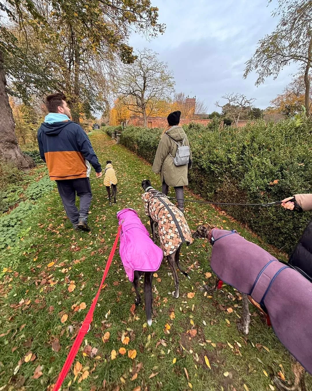 Sighthound Social Walk

Castle Bromwich Hall Gardens
Sunday 8th February
10.30am

We&rsquo;ll meet for a relaxed walk around the gardens.

Please check the @castlebromwichhallgardens  website as entry fees apply.
All dogs must remain on lead at all t