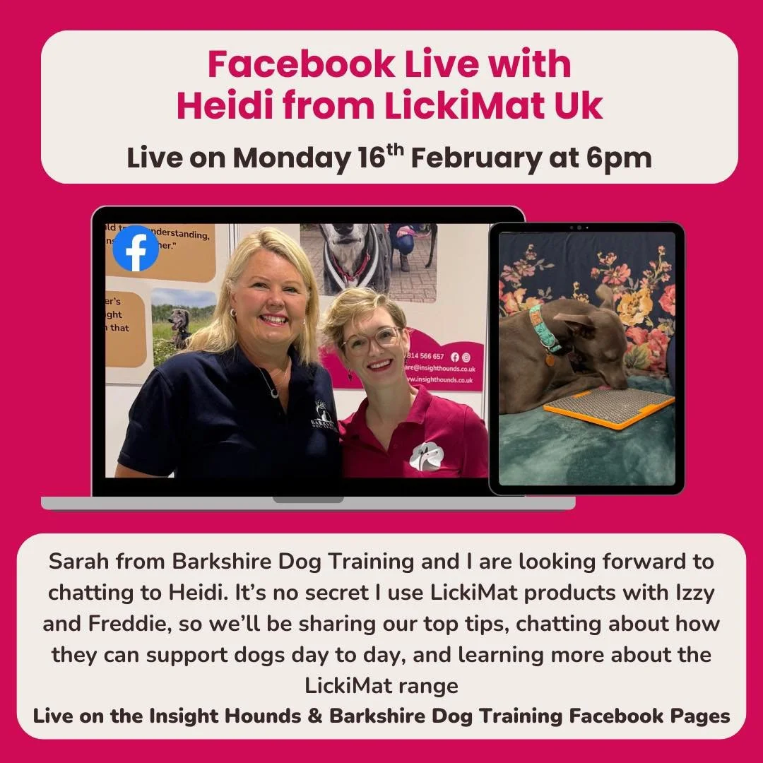 Really looking forward to chatting to Heidi from @lickimat.uk and Sarah from @barkshiredogtraining on Monday 16th Feb at 6pm  live on Facebook. 

#sighthound #sighthoundenrichment #lickimat #lickimatideas