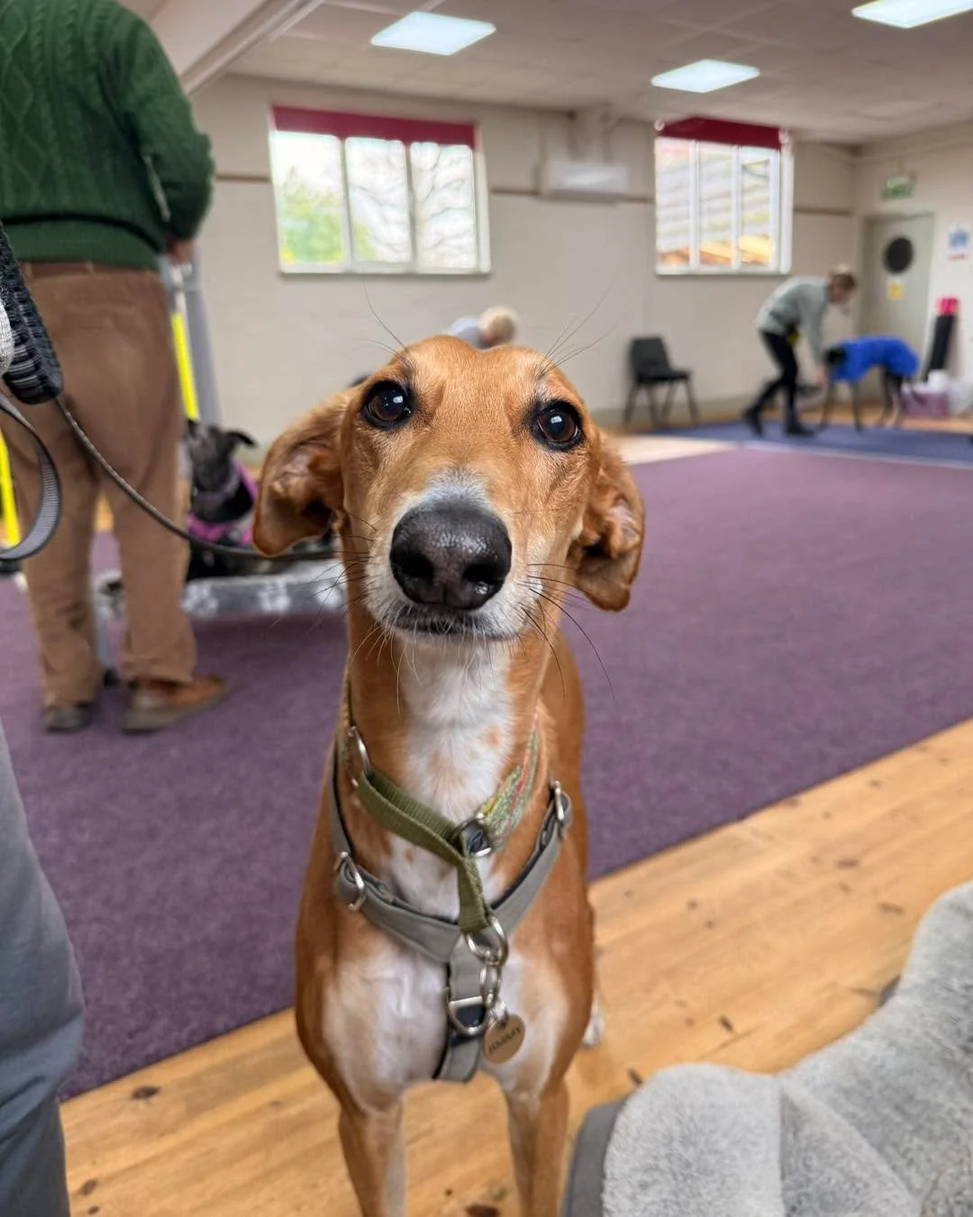 Part 1 of 3 &ndash; Jimmy turns 4! 🎉

We celebrated three birthdays across today&rsquo;s classes.

I was going to do one lovely group post for them all&hellip; but frankly, I have far too many fabulous photos. So we are going with a post for each.

