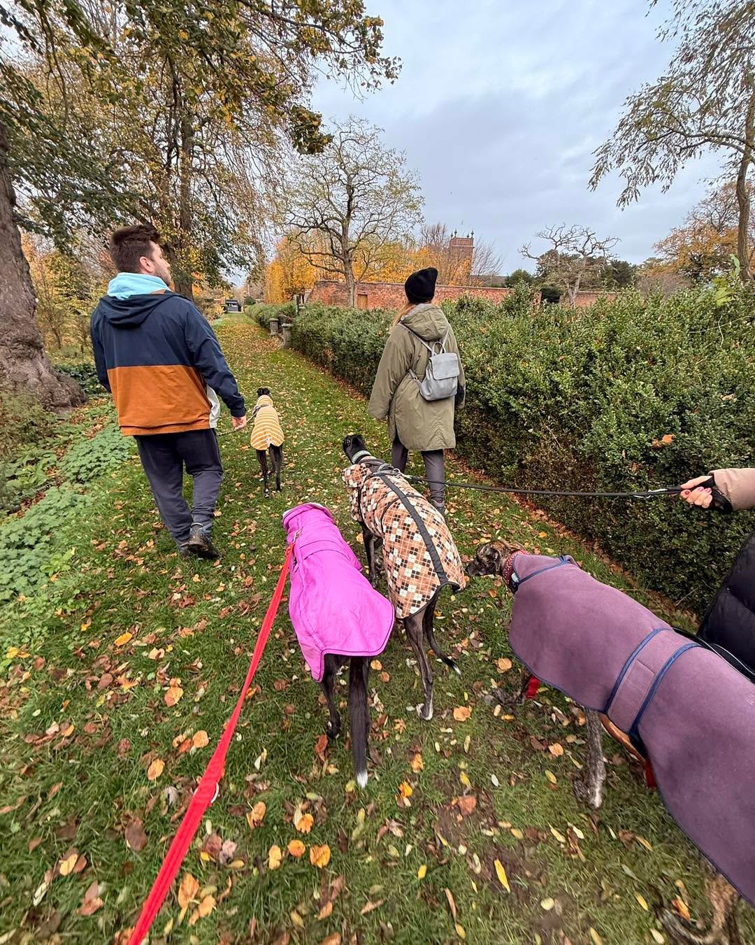 🌳This Sunday 8th March at 10.30am is our Insight Hounds social walk @castlebromwichhallgardens 

All dogs must be on lead. Entry fees apply, please check the Castle Bromwich Hall Gardens website for details.

And this walk actually exists because of
