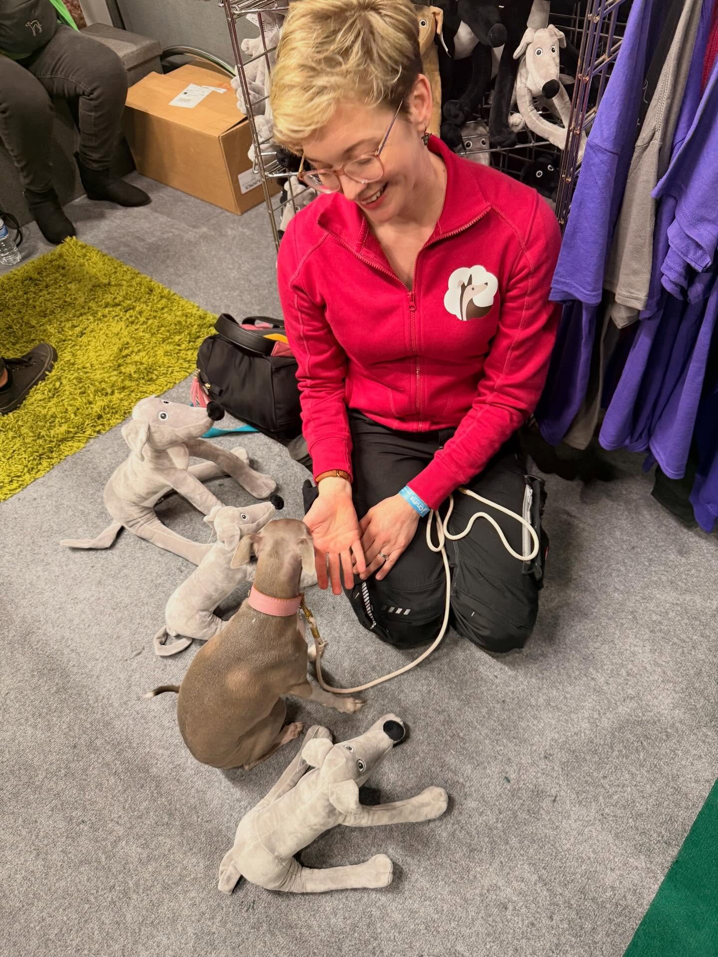 Adorable Hounds @crufts