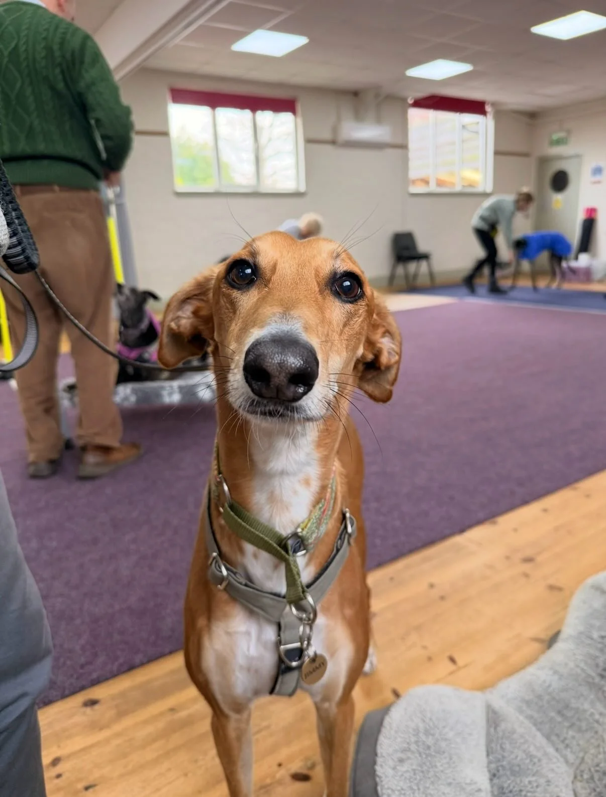 Note to self&hellip;capture more moments in class 📸. They bring joy to a wet Wednesday morning. 🩷