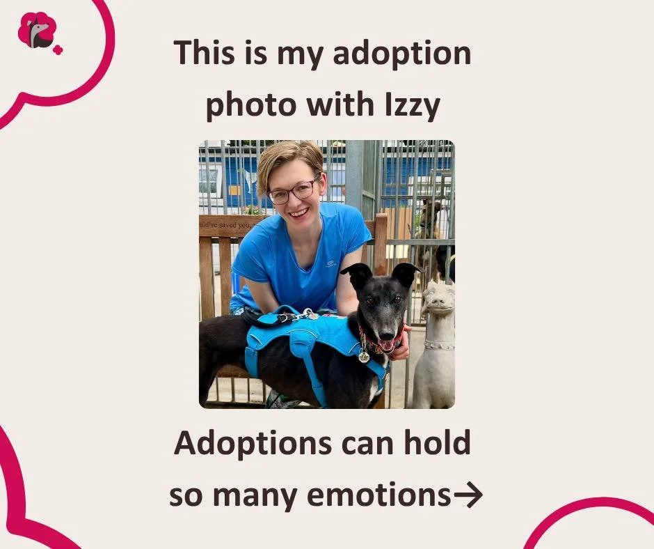 If you&rsquo;ve recently adopted a greyhound or any Sighthound and would like a bit of extra support in those early stages I have a free online session especially for newly adopted dogs on Wednesday 1st April at 7pm.  #greyhoundadoption #sighthoundad