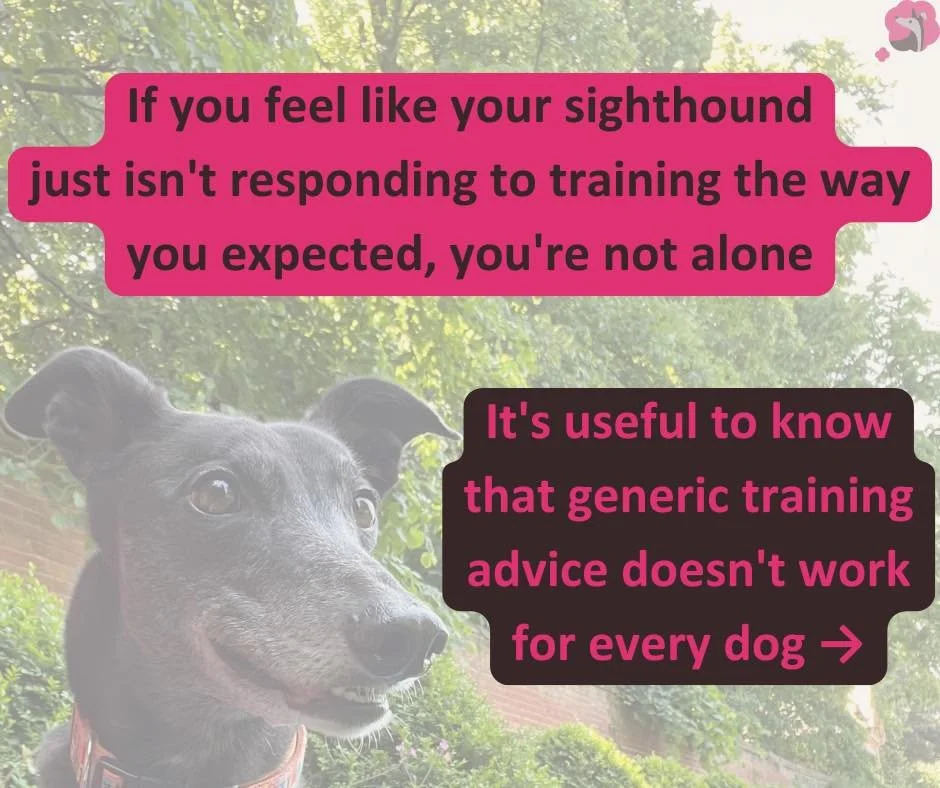 If you have a sighthound who just isn't quite responding to training the way you hoped, this is for you.

Sighthounds are different. They think differently, learn differently, and need training that actually understands them.

Sighthound Skills is bu