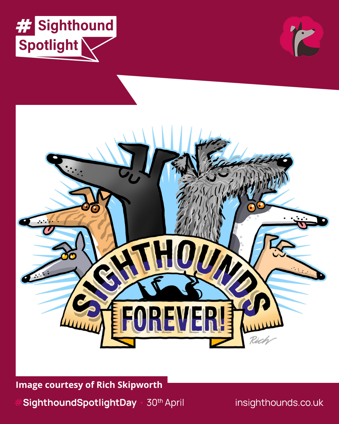 Sighthound Spotlight Day: Getting Sighthounds Into the Spotlight Where They Belong