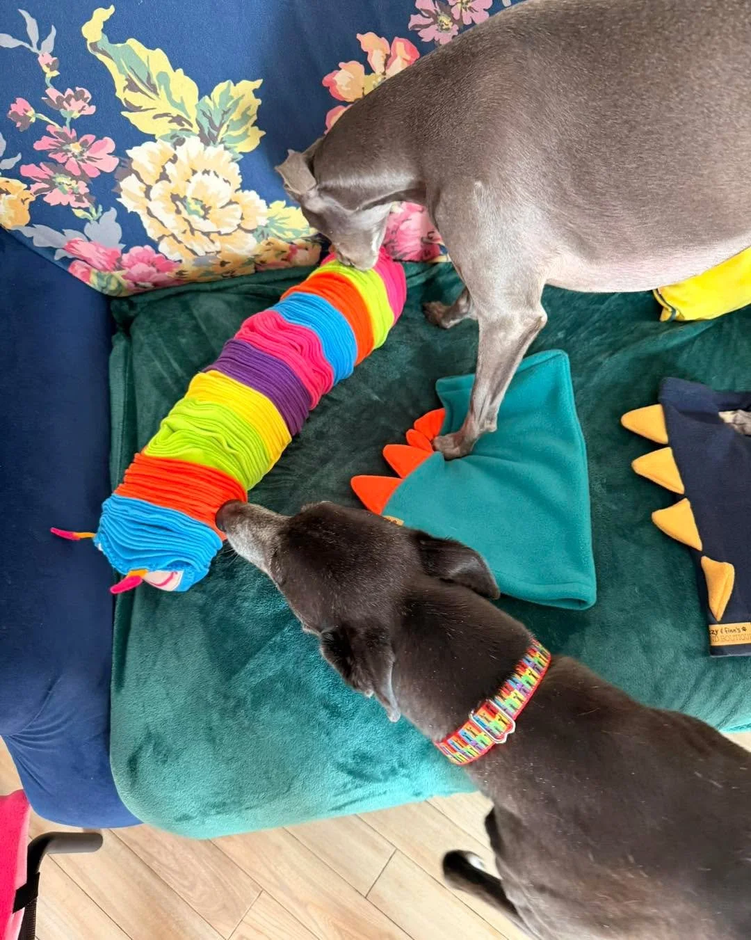 The snufflepilllar designed by Fliss from @izzyandfinns  has arrived along with Freddies new Dino snoods. I tried to get a couple of photos but Izzy and Freddie wanted to play straight away. It&rsquo;s definitely a hit in our house.