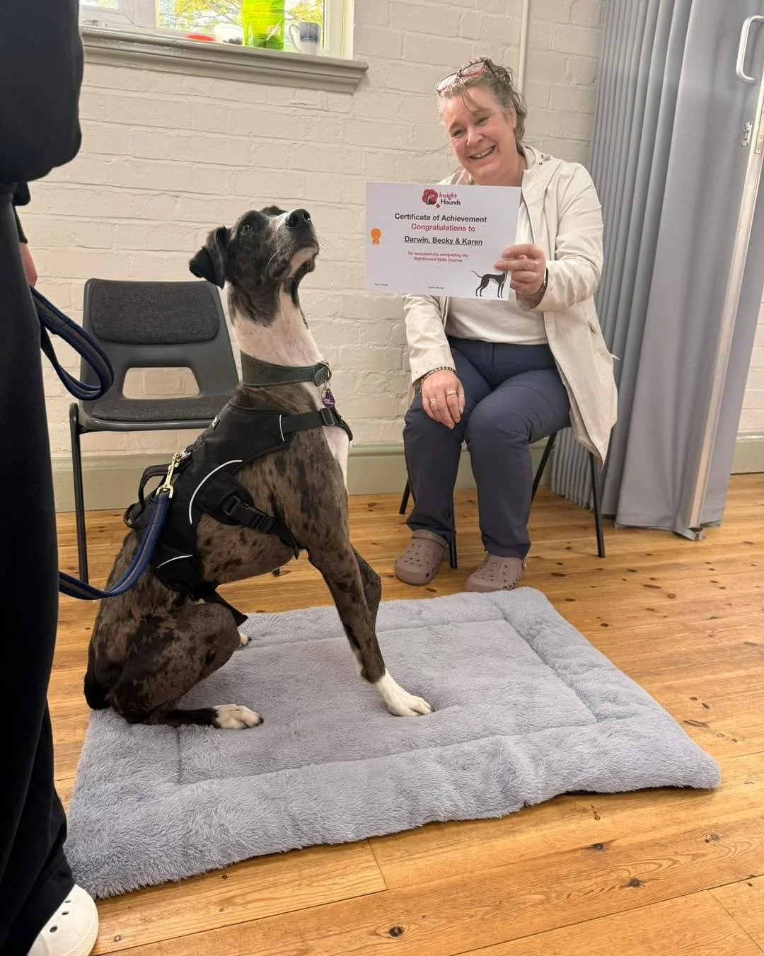 Congratulations to the fabulous Darwin and Raven, who have recently completed the Sighthound Skills course.

Darwin, with Becky and Karen, is super, super smart. When we first started, he was a little unsure of the world, but week by week we&rsquo;ve