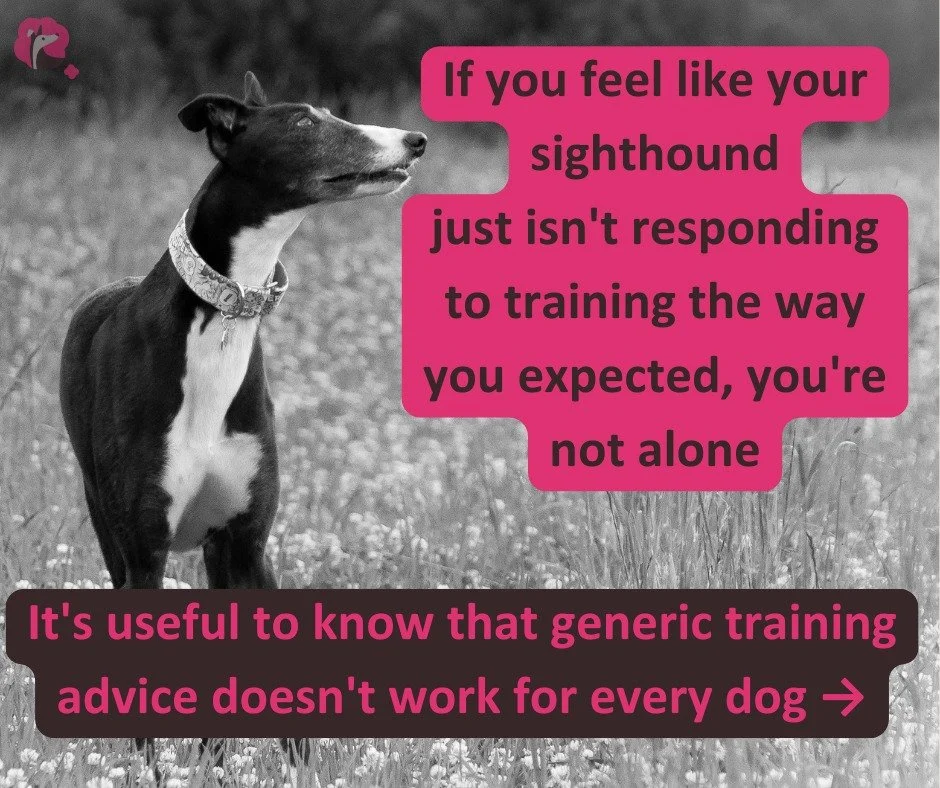 If you have a sighthound who just isn't quite responding to training the way you hoped, this is for you.

Sighthounds are different. They think differently, learn differently, and need training that actually understands them.

Sighthound Skills is bu