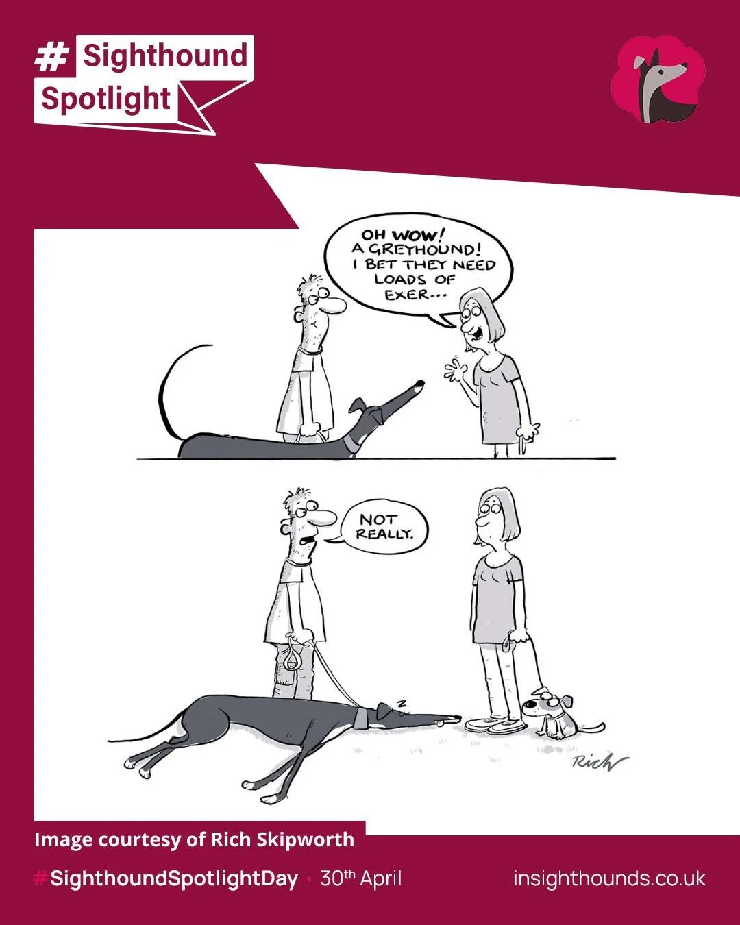 So Myth Busting how many times have you heard this one? 

&ldquo;They must be on the go all the time and need loads of exercise.&rdquo;

What&rsquo;s the reality with your Sighthound? ⬇️ Thanks to @richardskipworth and Tim for the fabulous designs. 
