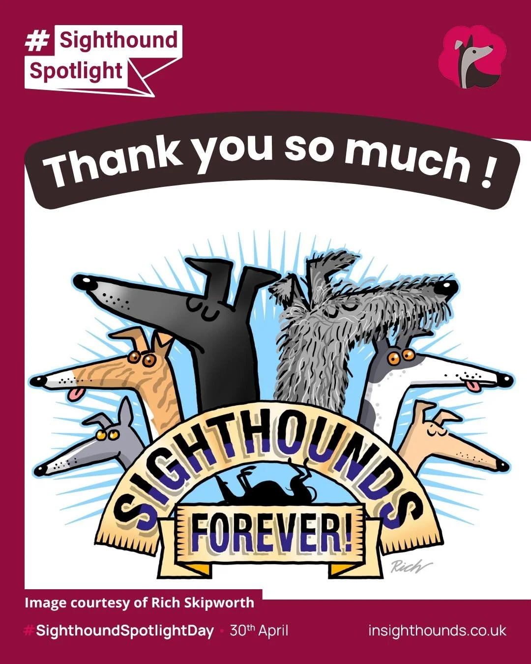 If you know me, you know how much sighthounds mean to me. 

So when Sighthound Spotlight Day came together yesterday&hellip; wow! Just wow! 

So many fabulous people got involved. We were shared by wonderful charities, businesses and brands, and the 